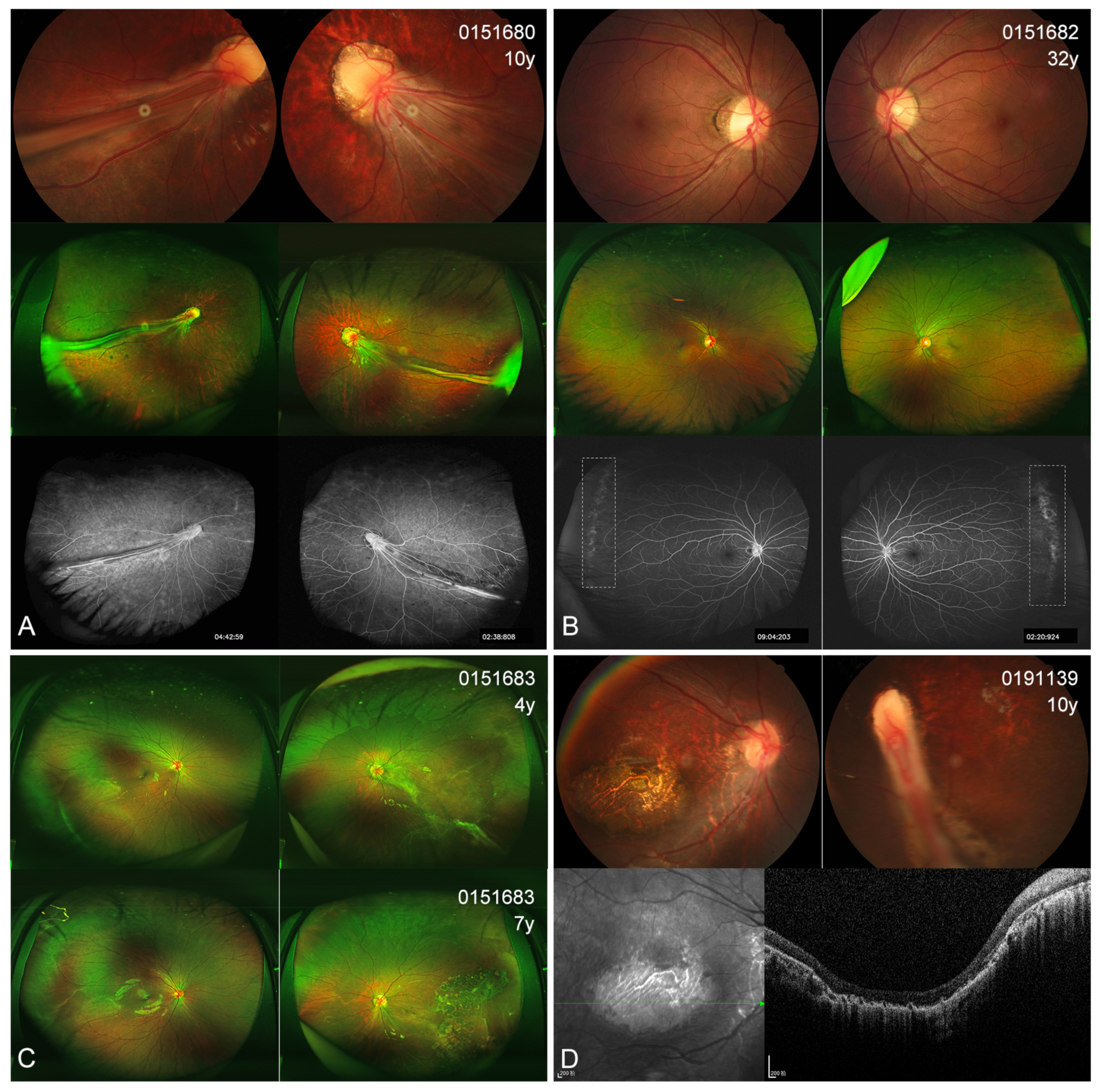 Genes 14 00212 g005 Genes 14 00212 g005