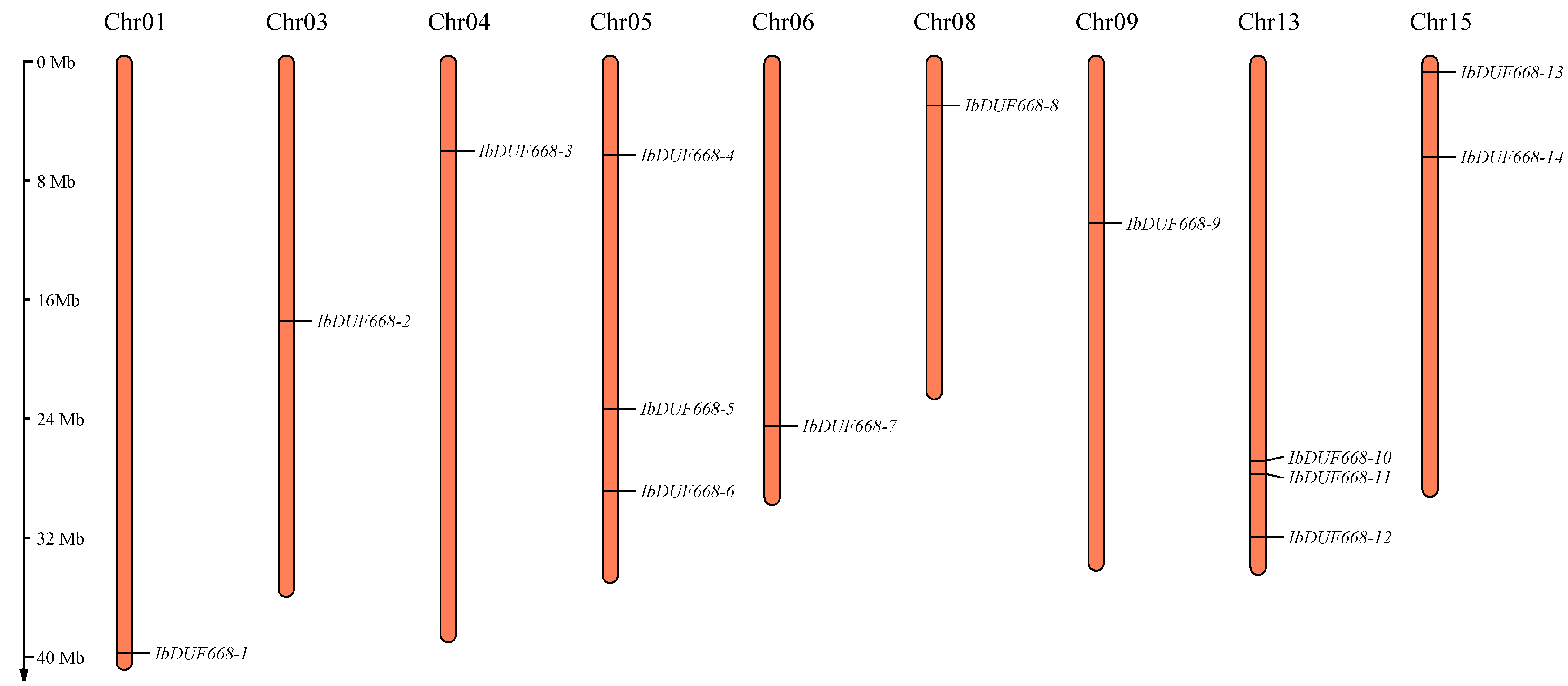 Genes 14 00217 g001 Genes 14 00217 g001