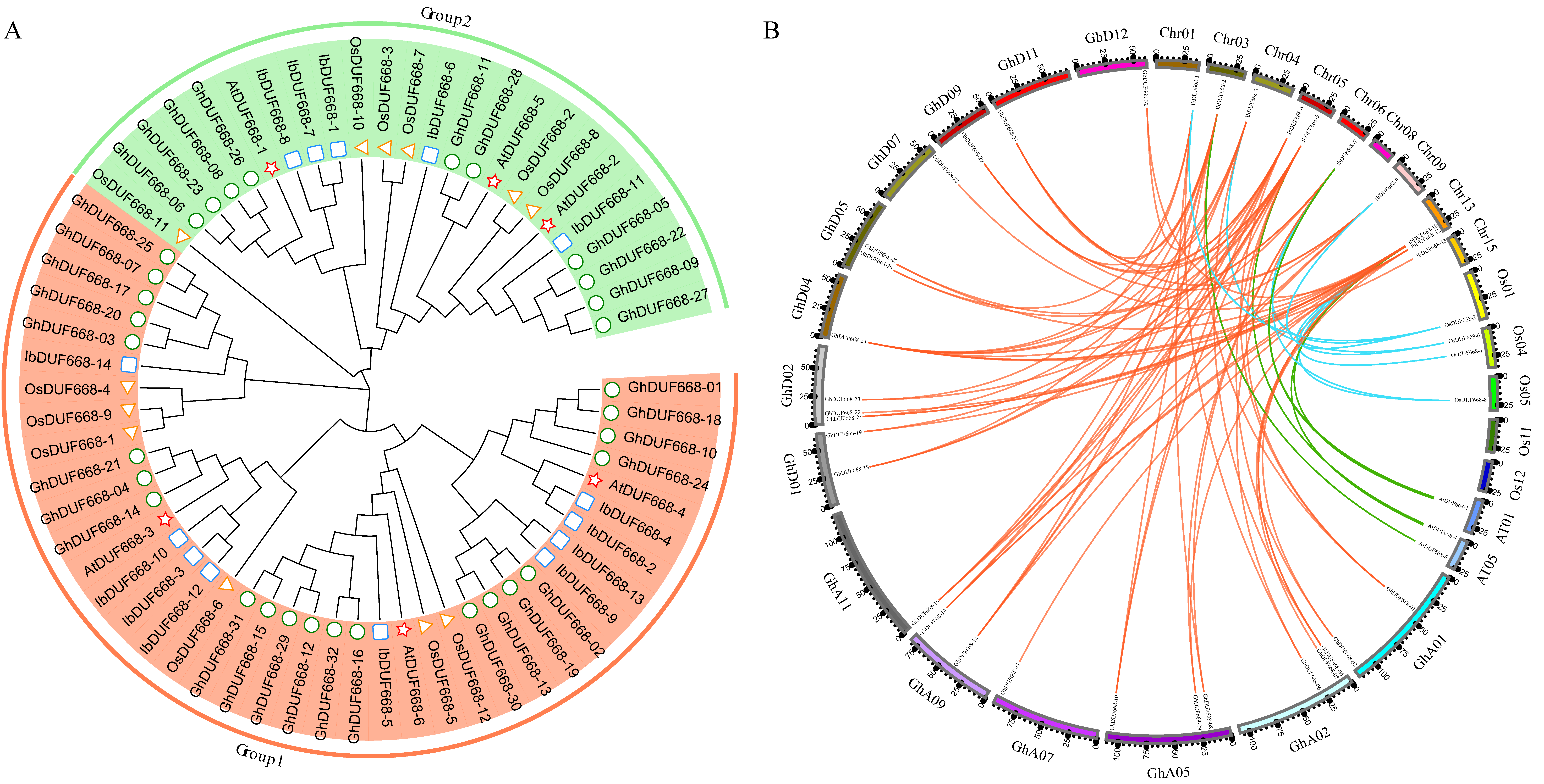 Genes 14 00217 g002 Genes 14 00217 g002