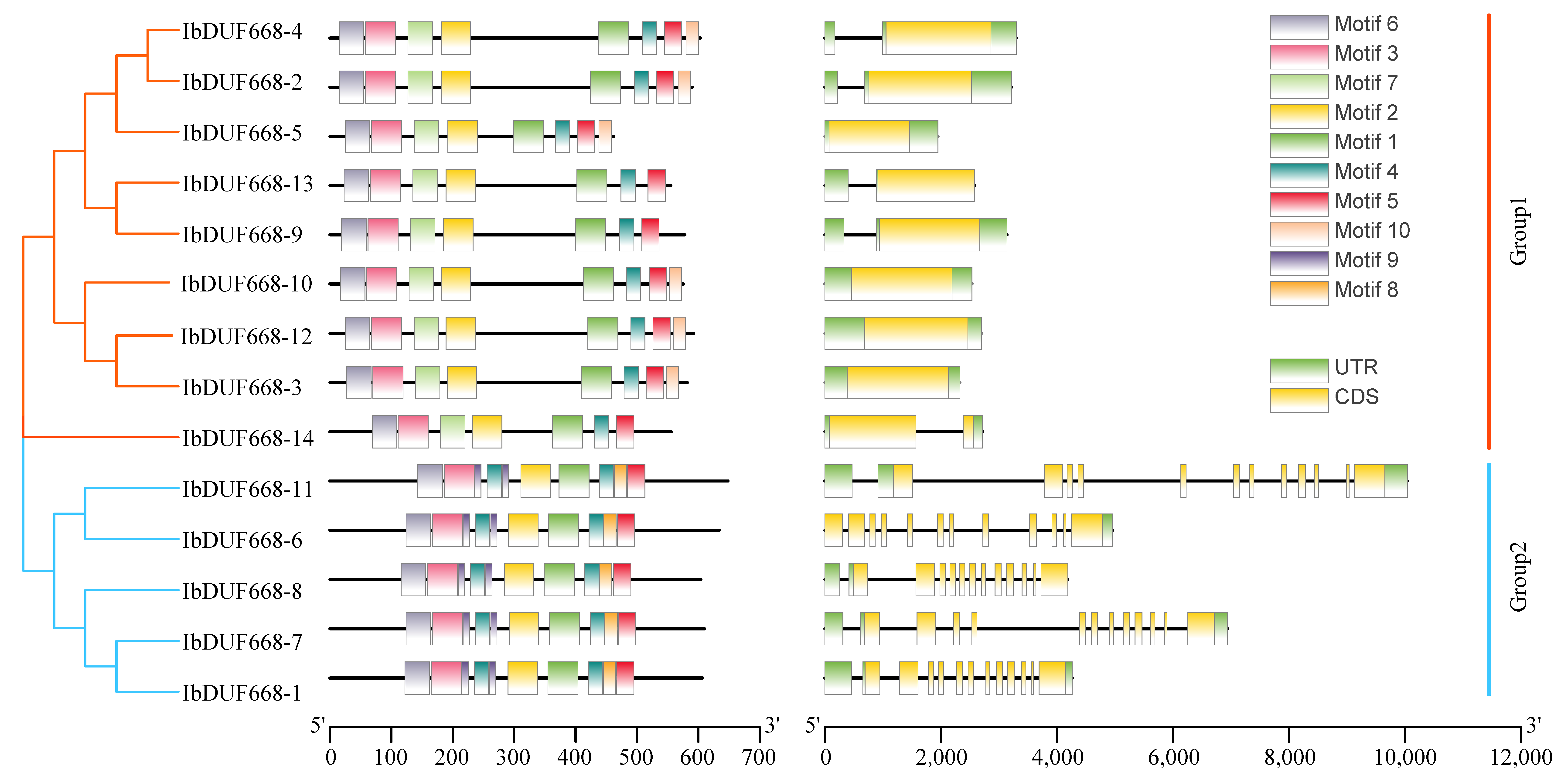 Genes 14 00217 g003 Genes 14 00217 g003