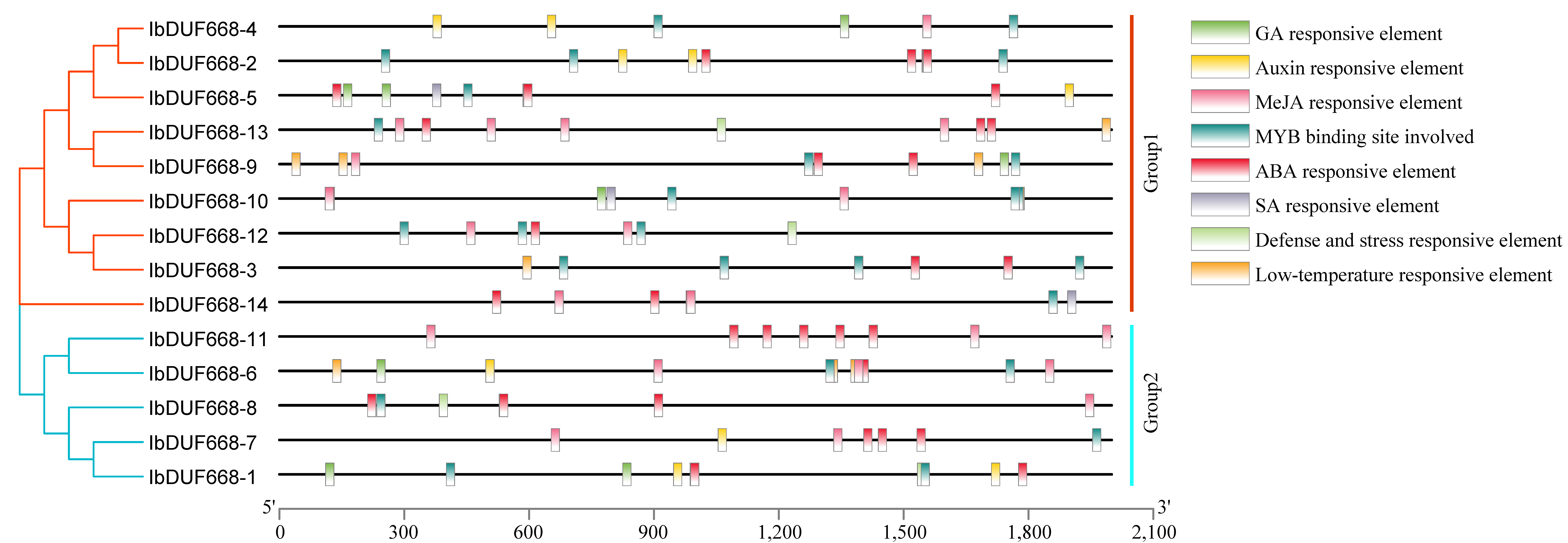 Genes 14 00217 g004 Genes 14 00217 g004
