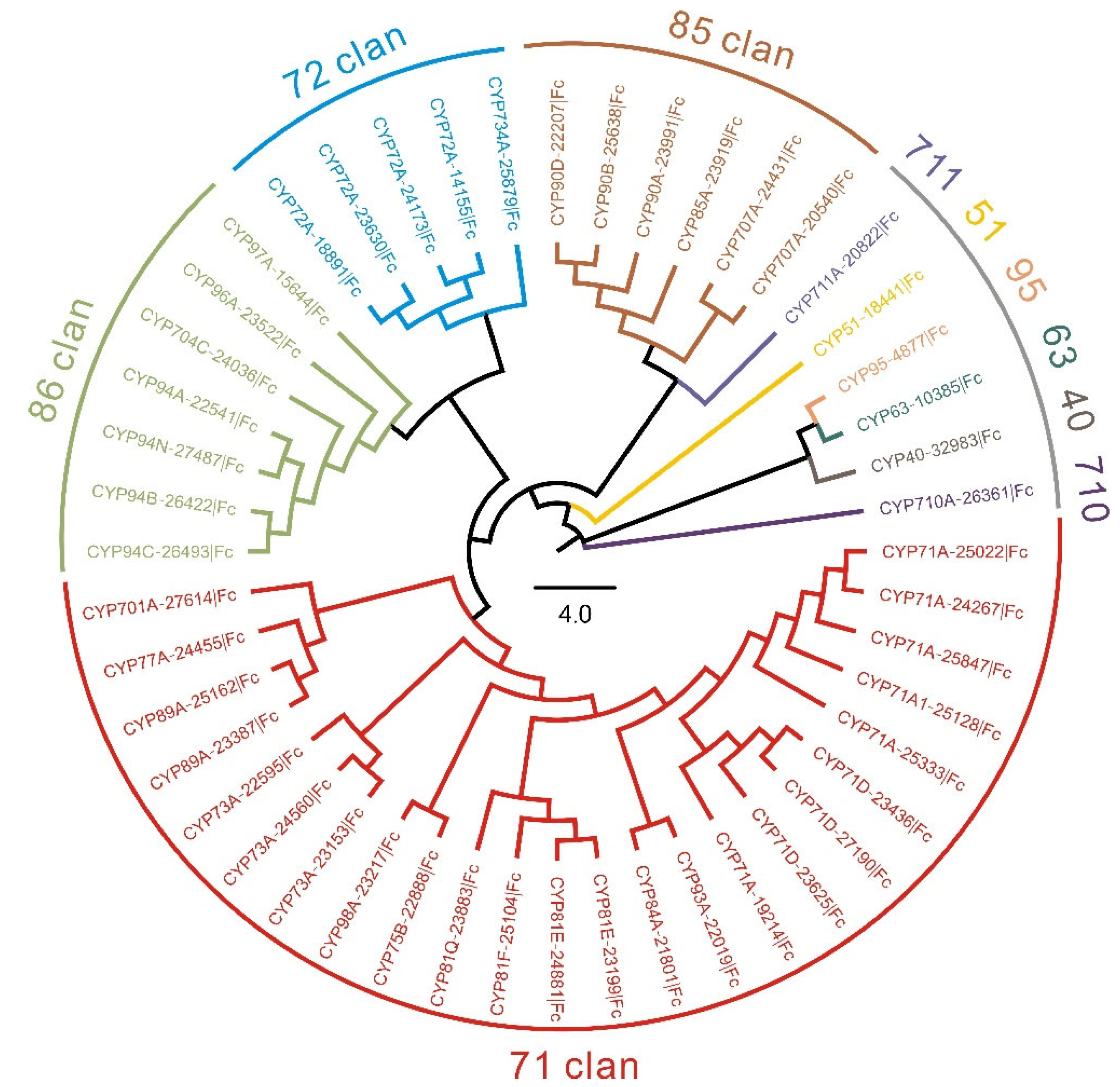 Genes 14 00219 g001 Genes 14 00219 g001