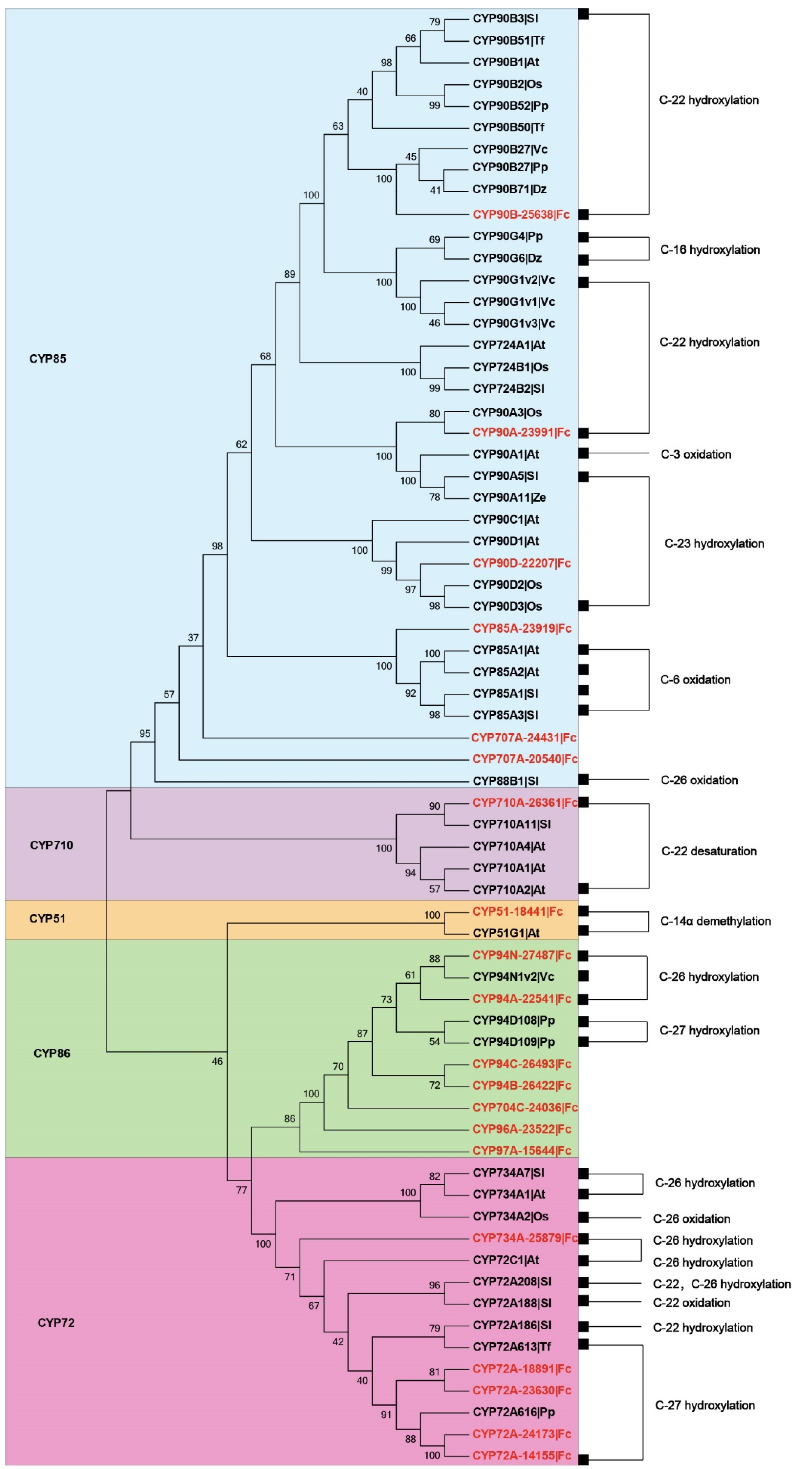 Genes 14 00219 g002 Genes 14 00219 g002