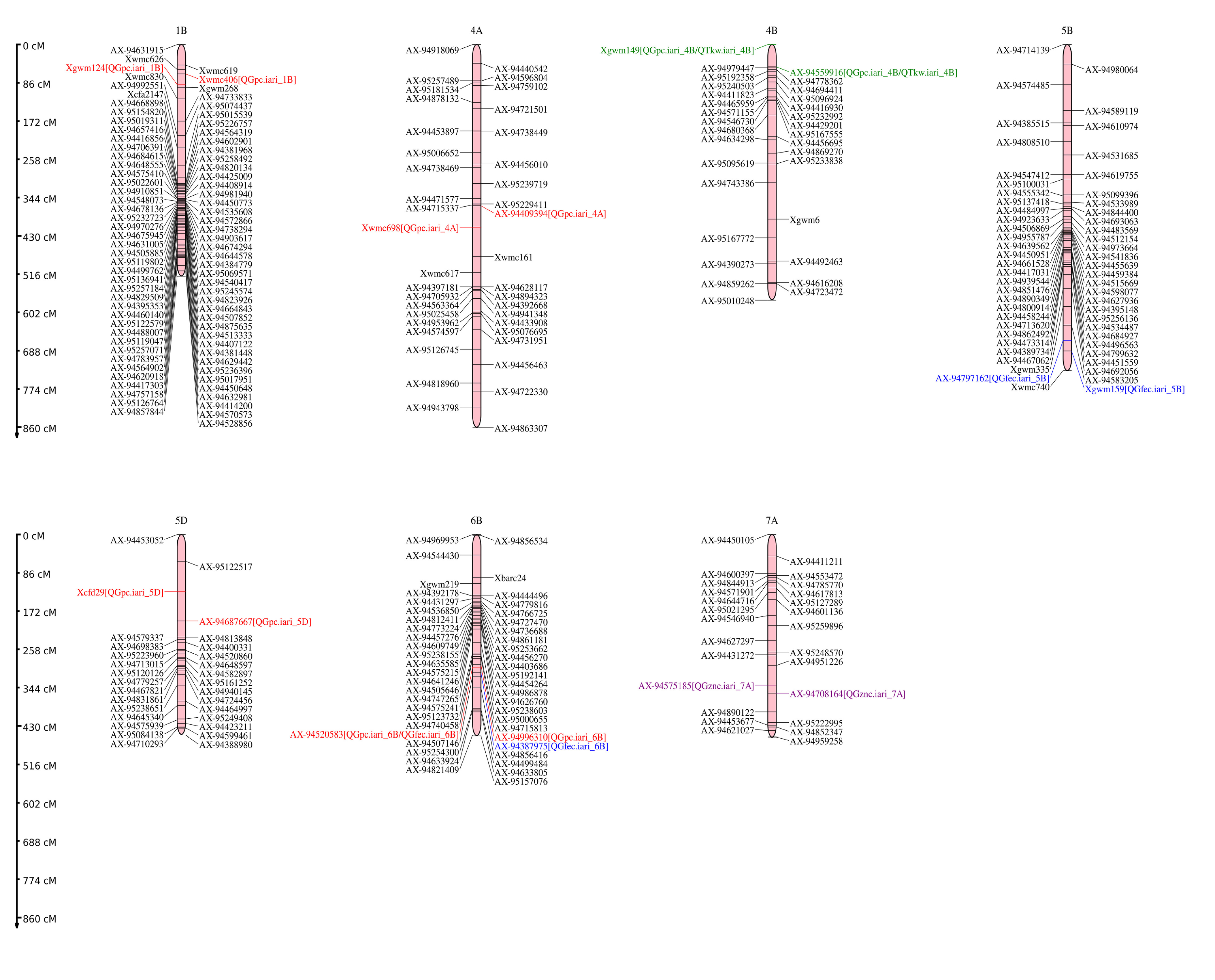 Genes 14 00221 g005 Genes 14 00221 g005