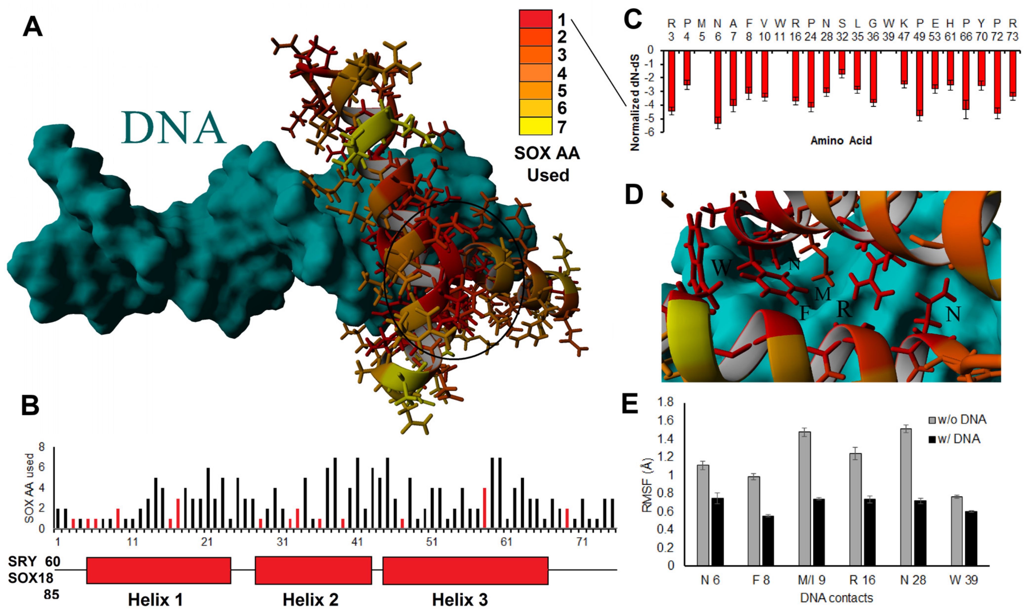 Genes 14 00222 g003 Genes 14 00222 g003