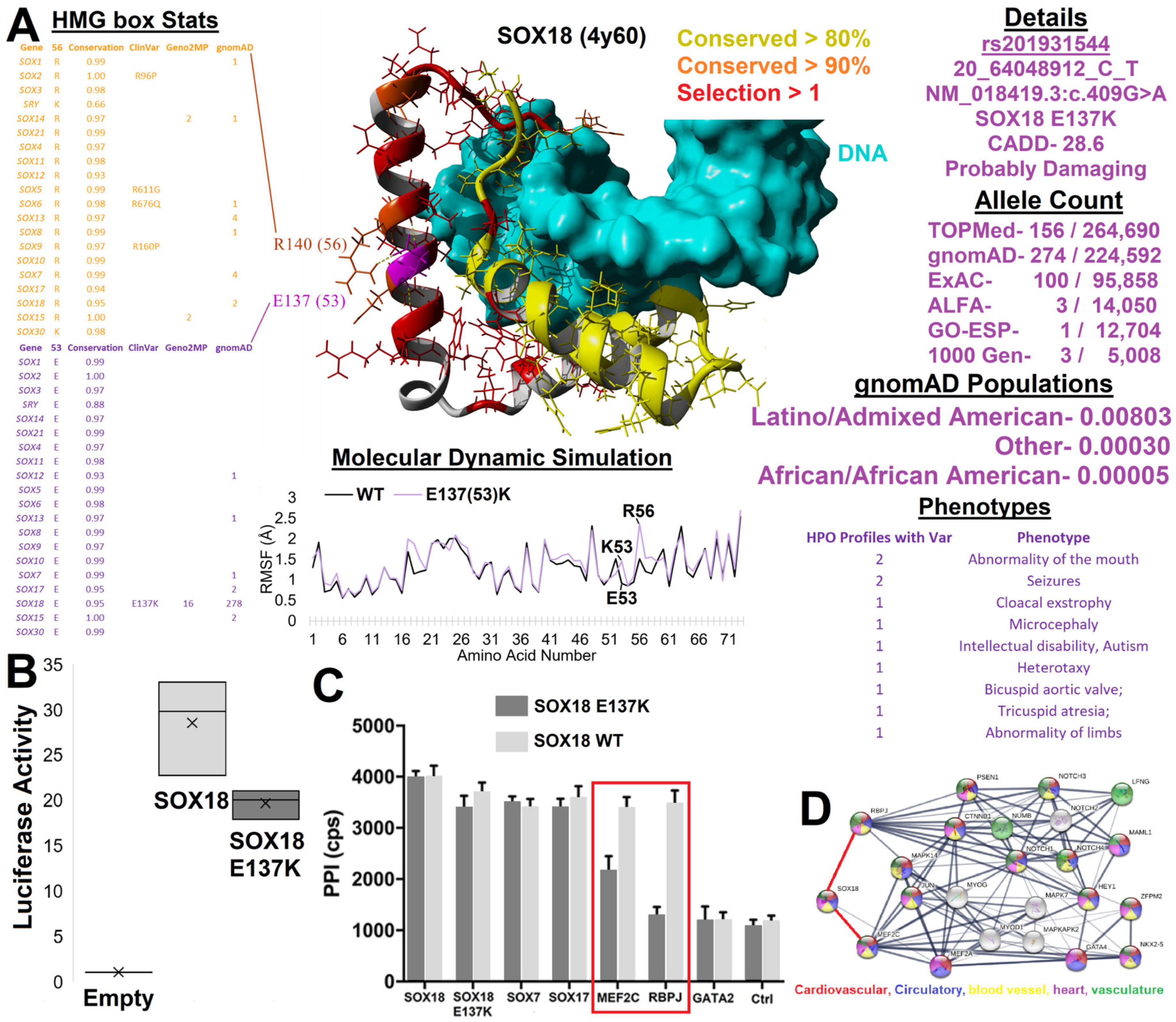 Genes 14 00222 g005 Genes 14 00222 g005