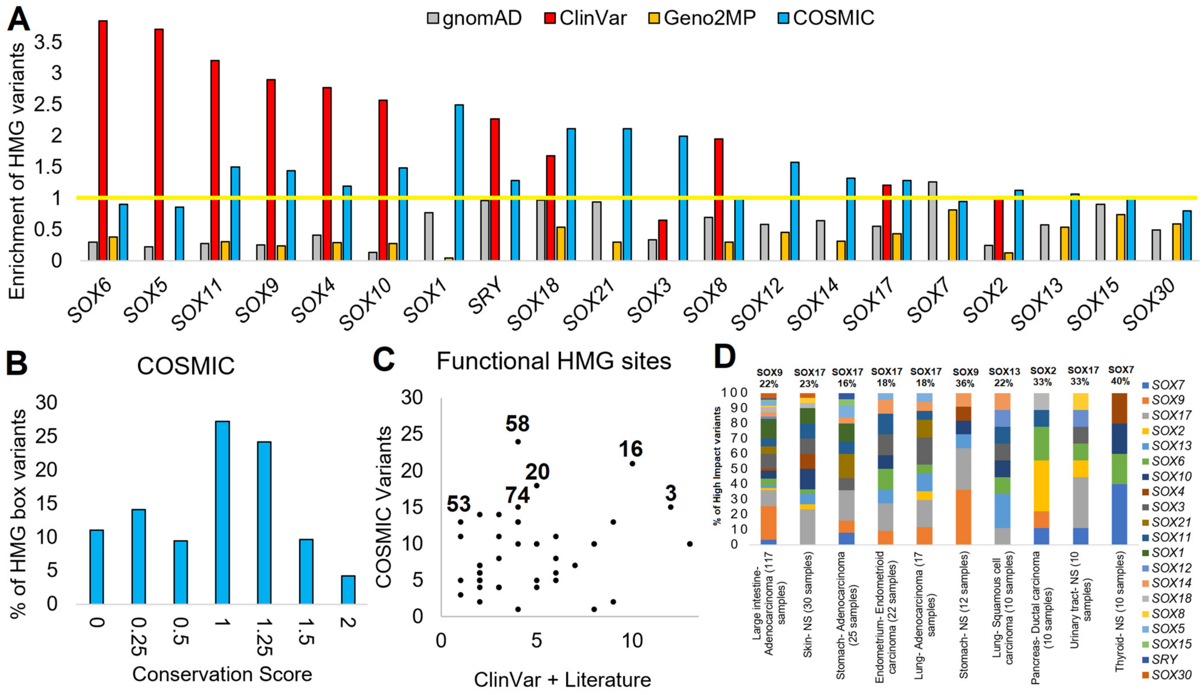 Genes 14 00222 g007 Genes 14 00222 g007