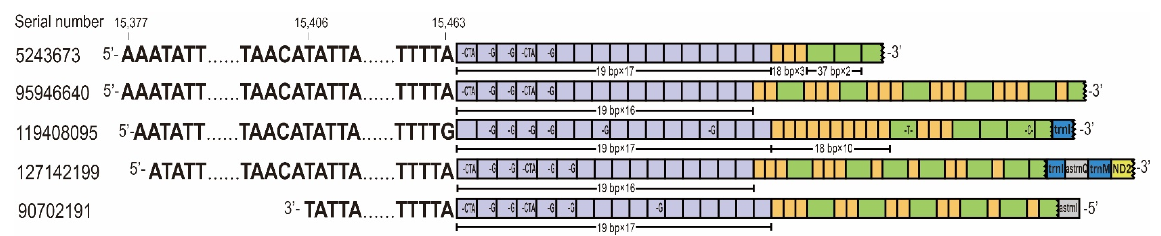 Genes 14 00225 g002 Genes 14 00225 g002