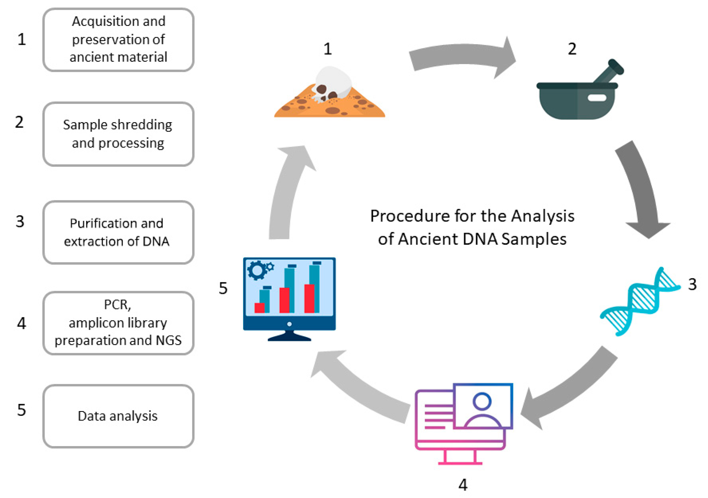 Genes | Free Full-Text | Methodological Changes the Field of Paleogenetics