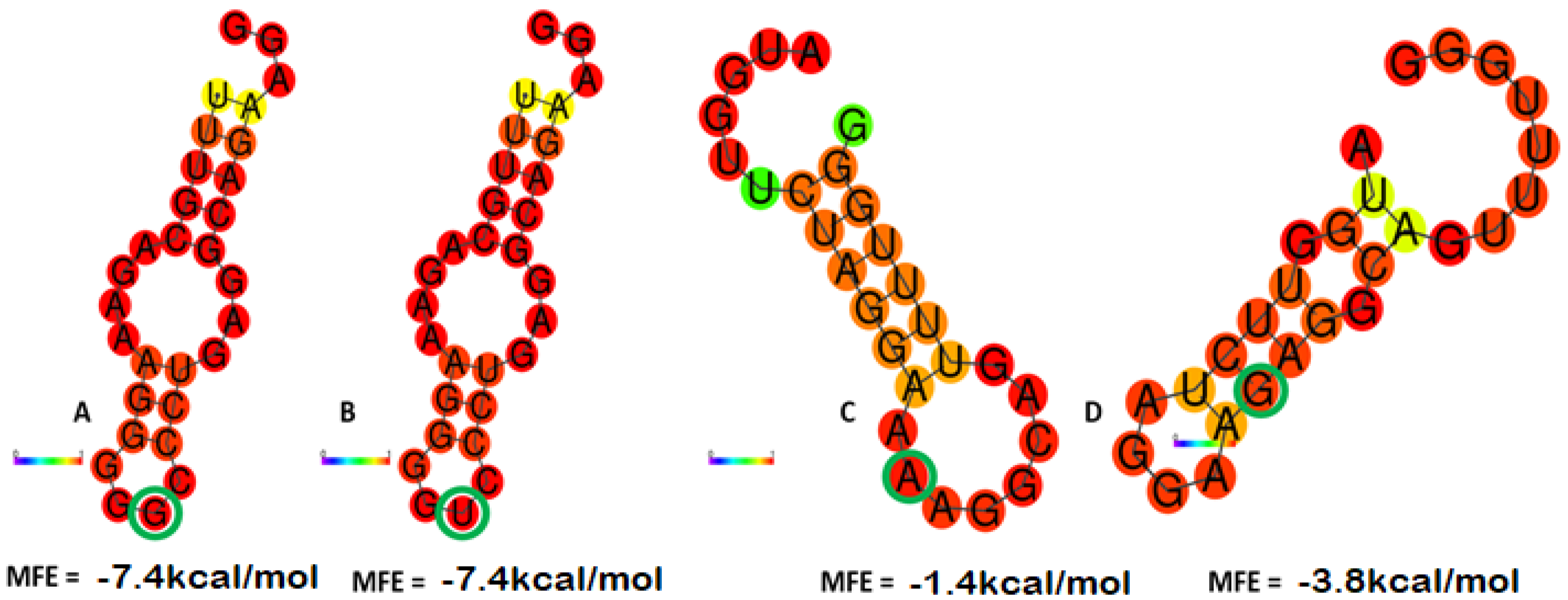Genes 14 00236 g001 Genes 14 00236 g001