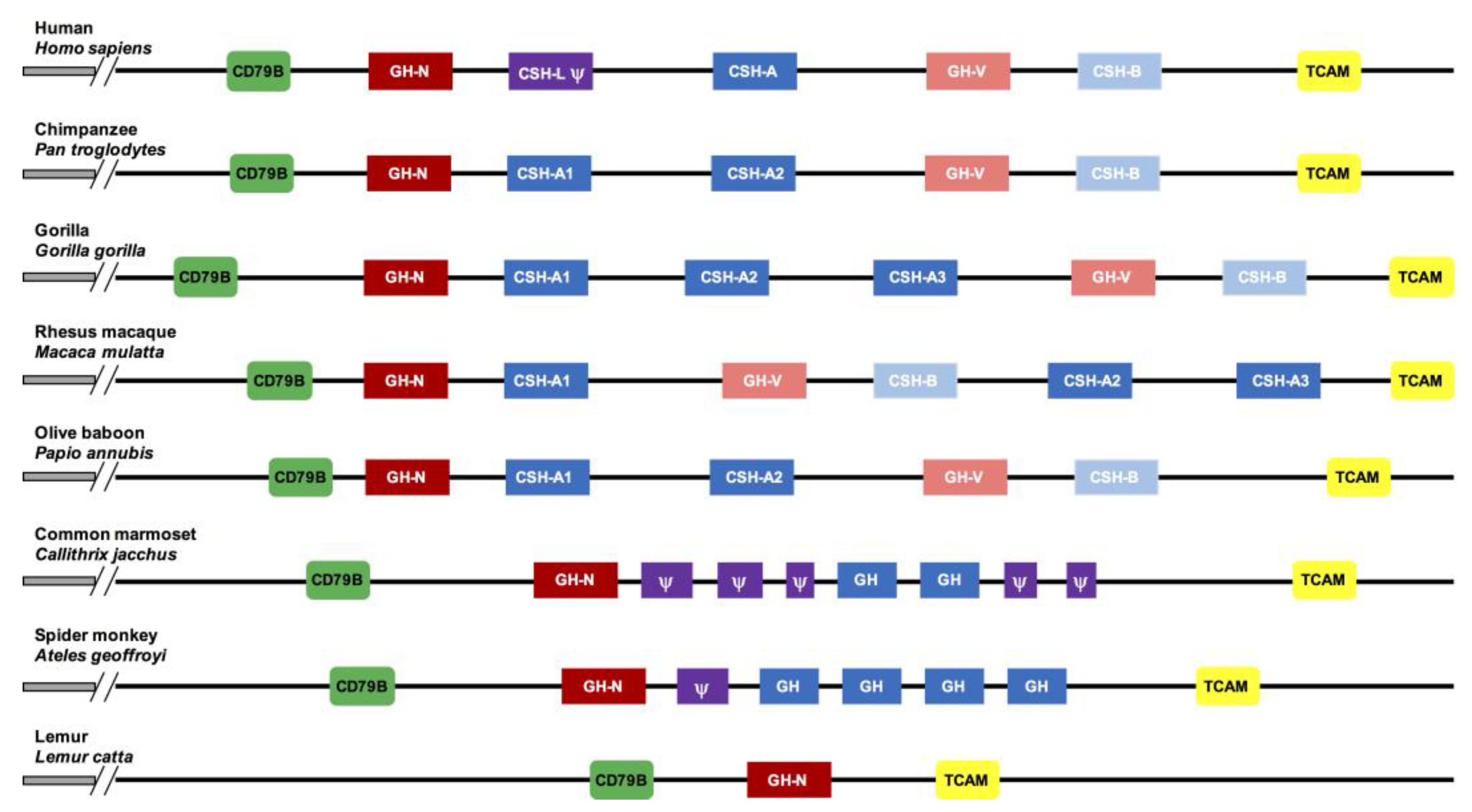 Genes 14 00241 g001 Genes 14 00241 g001