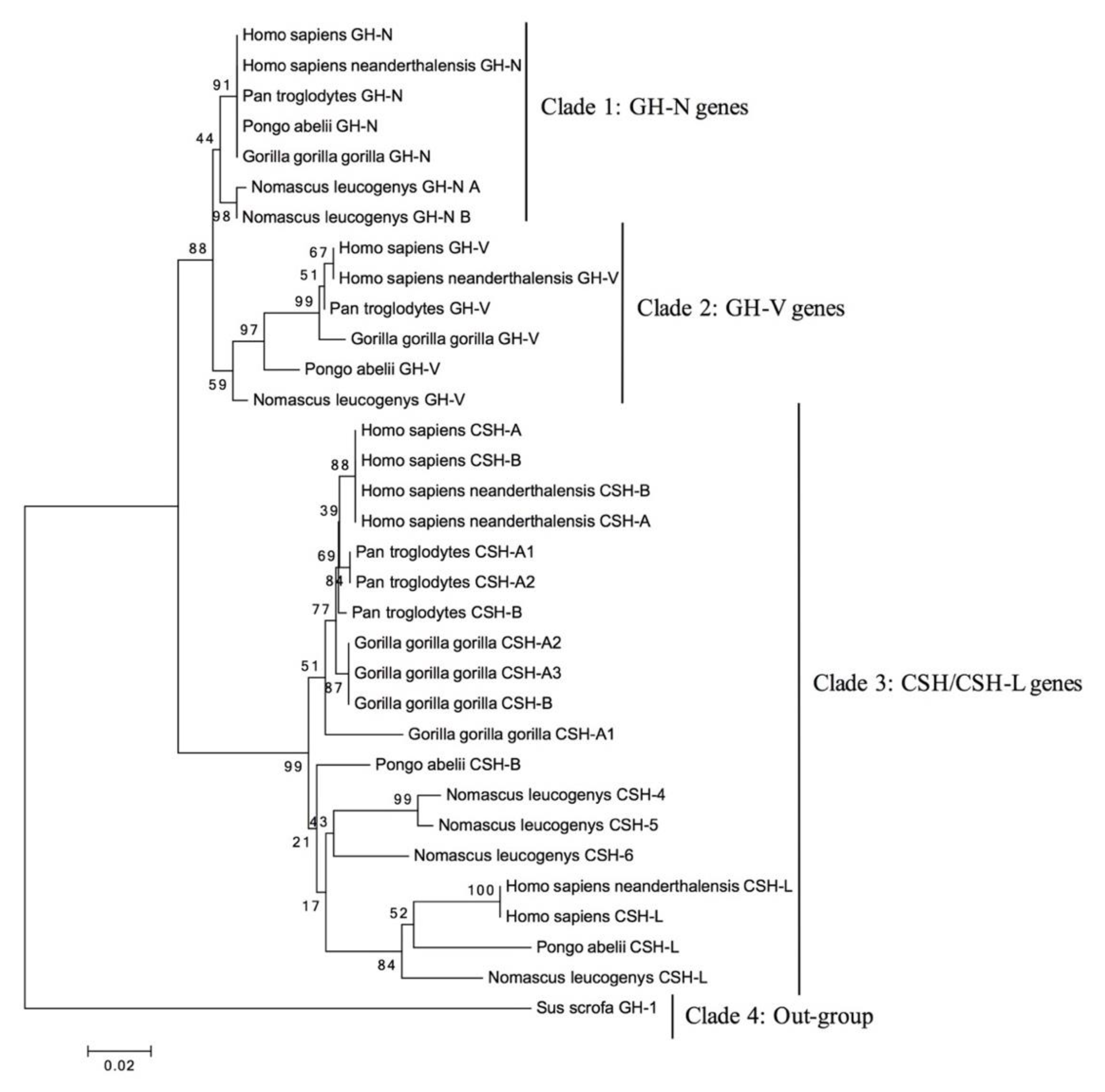 Genes 14 00241 g003 Genes 14 00241 g003