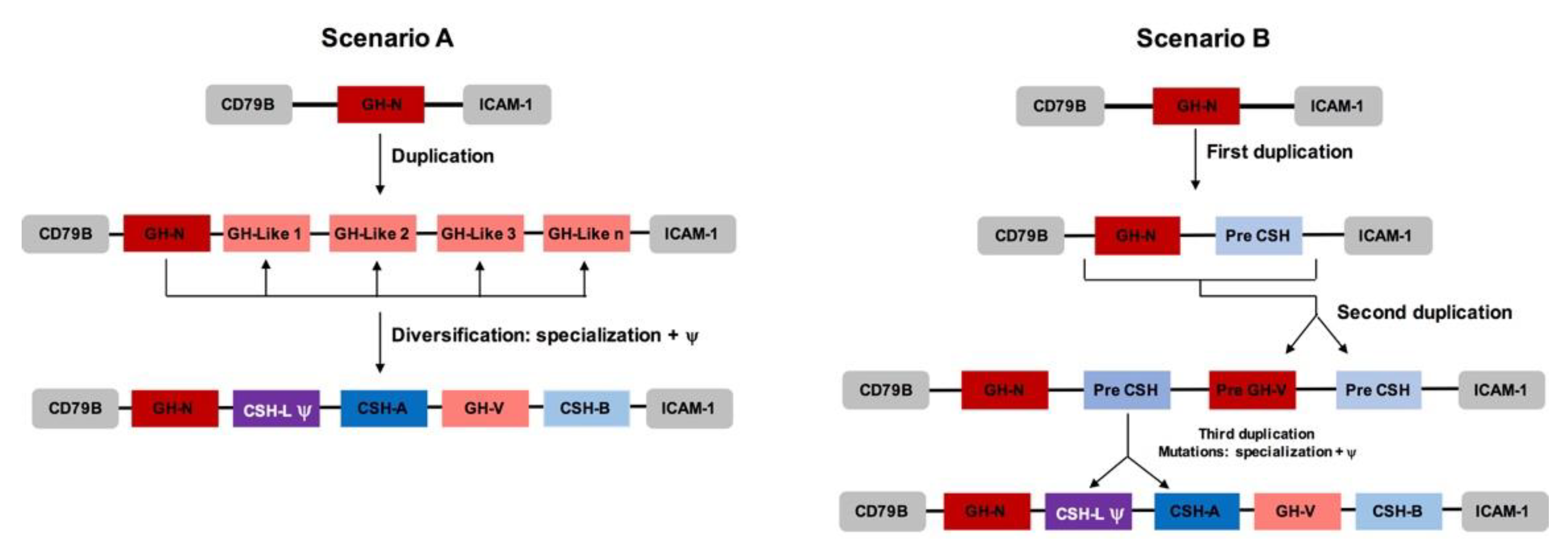 Genes 14 00241 g006 Genes 14 00241 g006