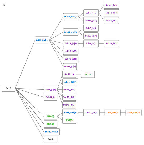 Genes | Free Full-Text | Framework of the Alu Subfamily Evolution in ...