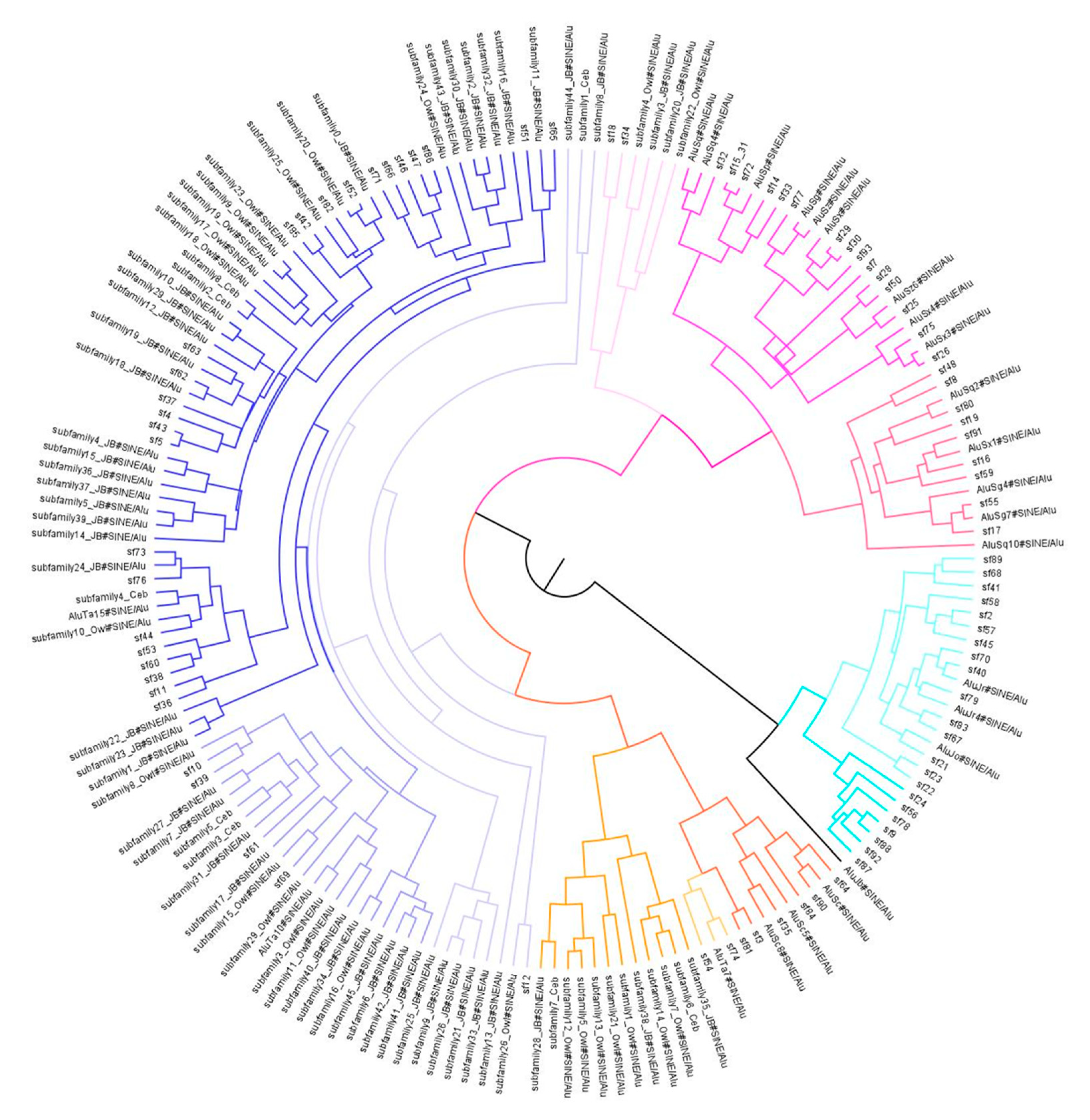 Genes 14 00249 g002