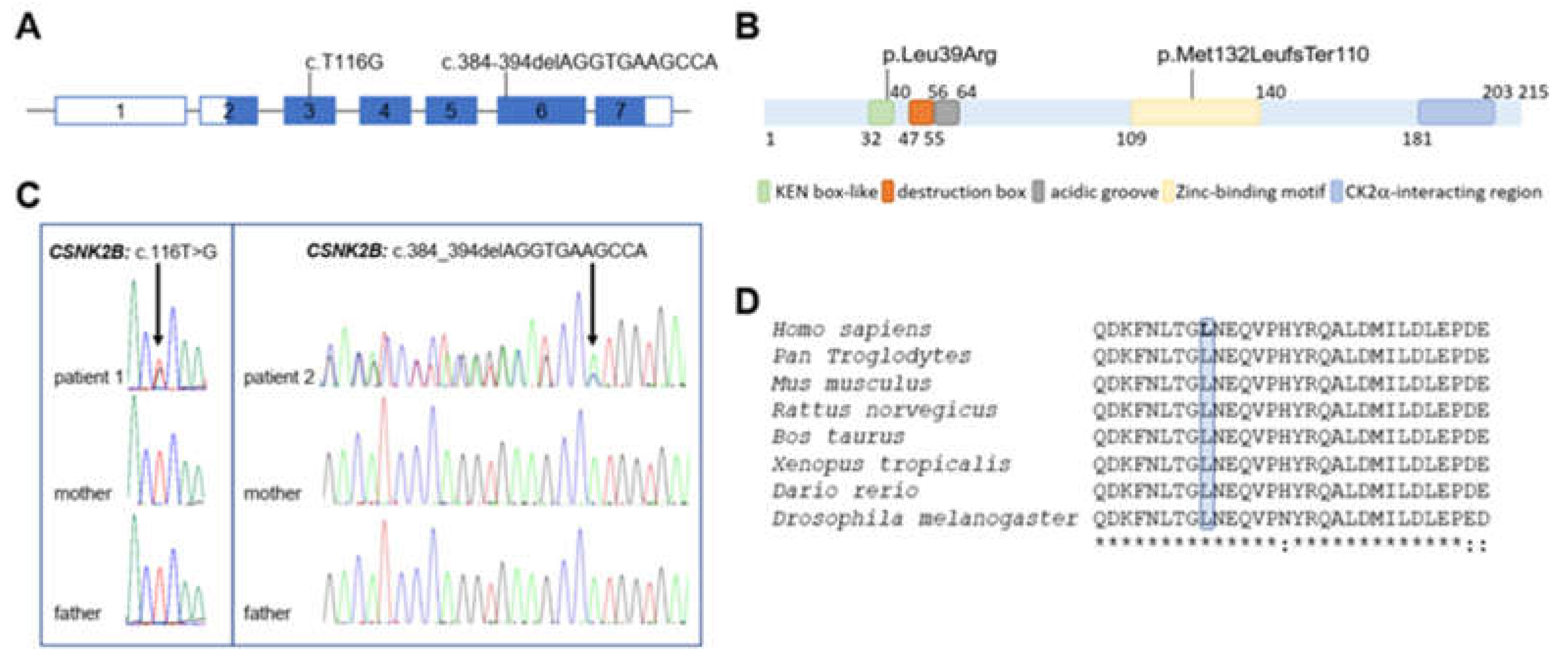 Genes 14 00250 g003