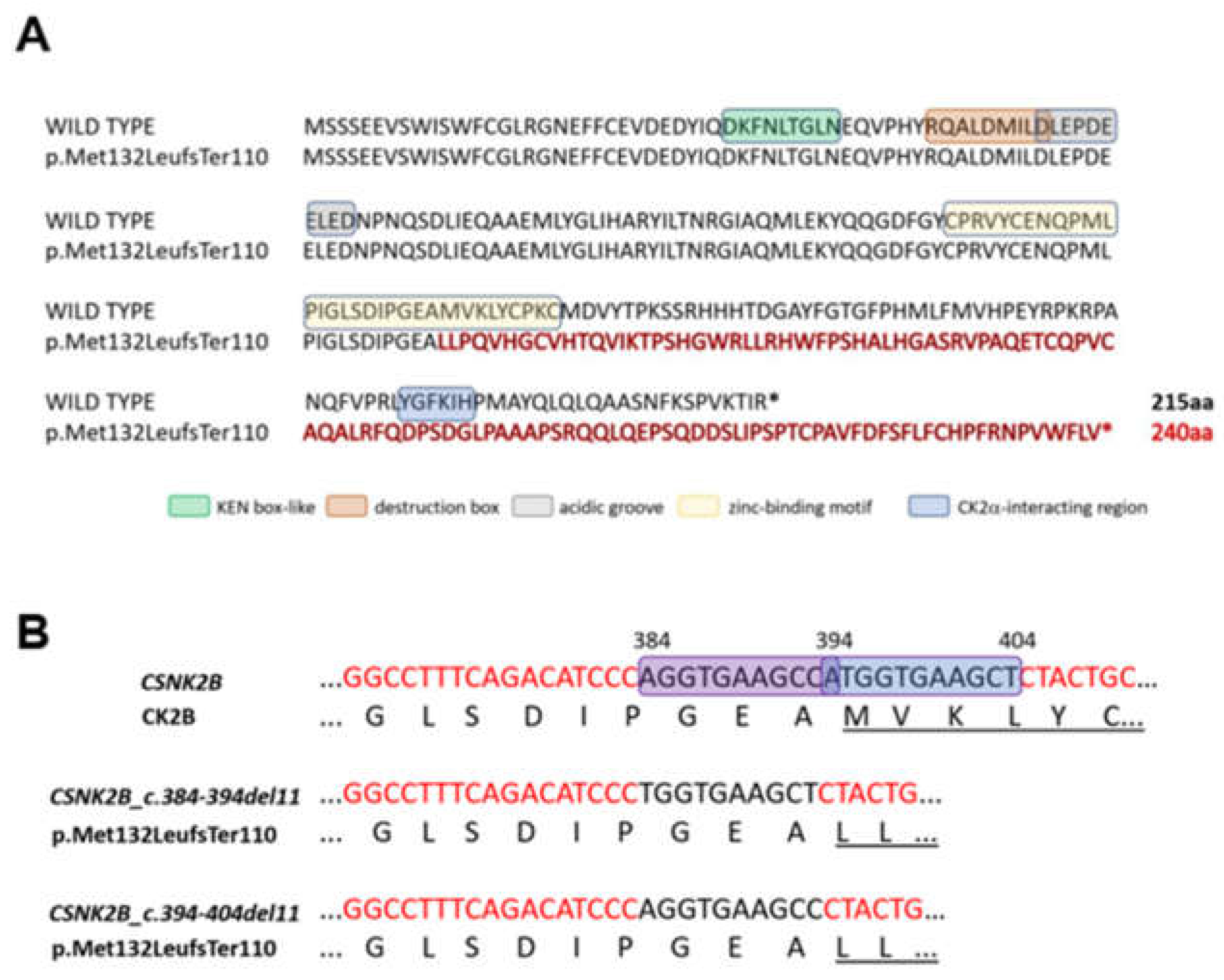Genes 14 00250 g004
