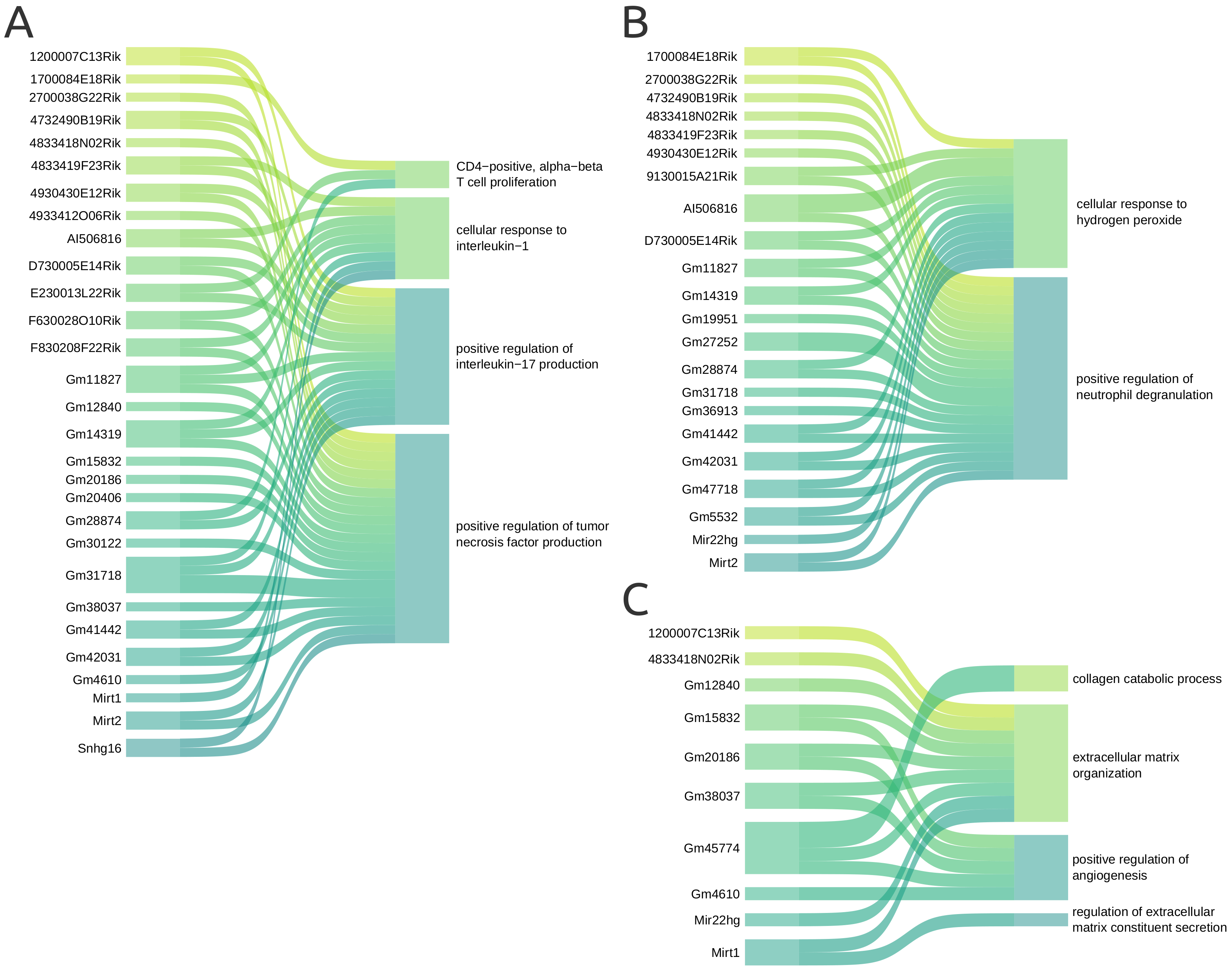Genes 14 00251 g007 Genes 14 00251 g007