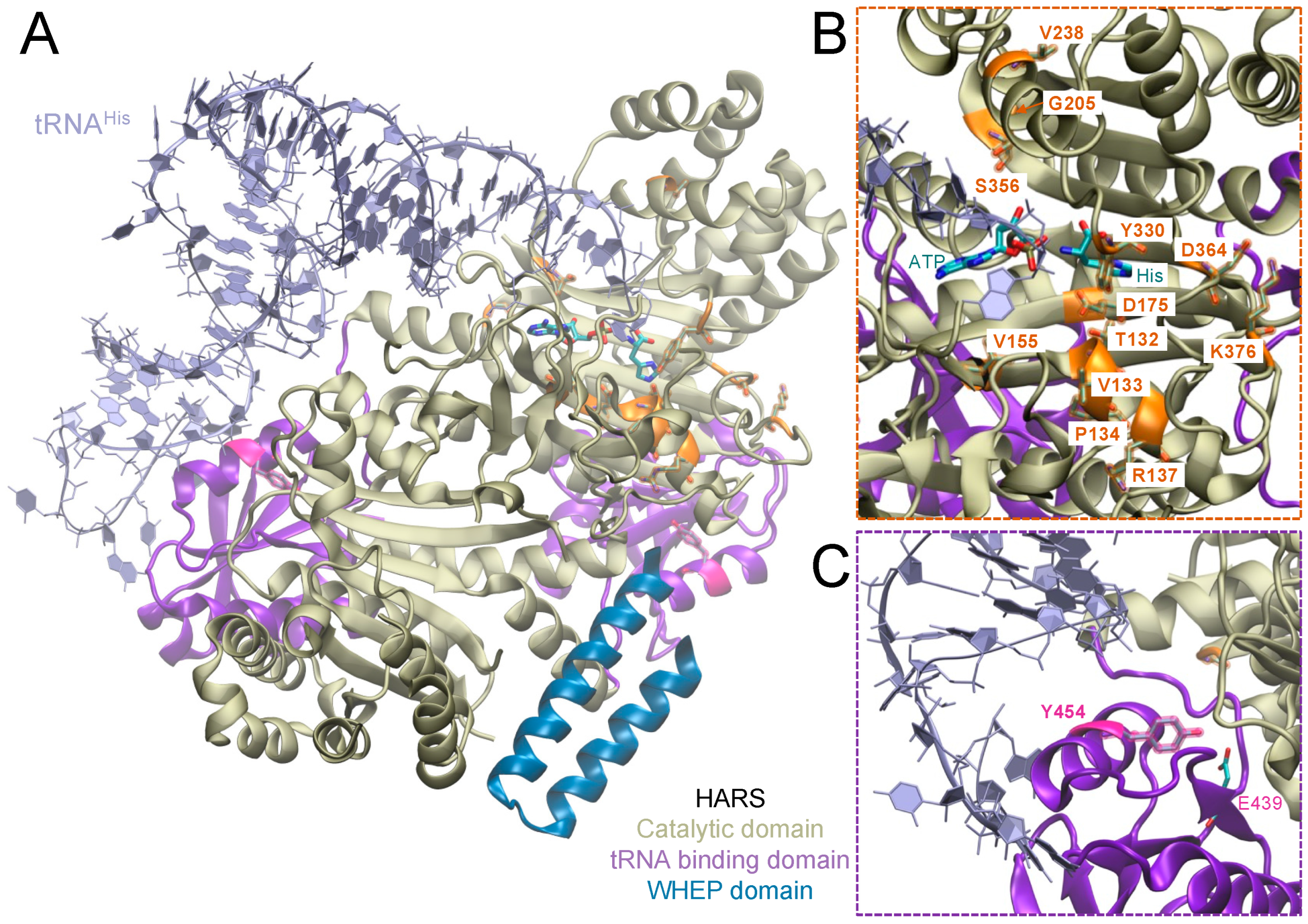 Genes 14 00254 g002 Genes 14 00254 g002