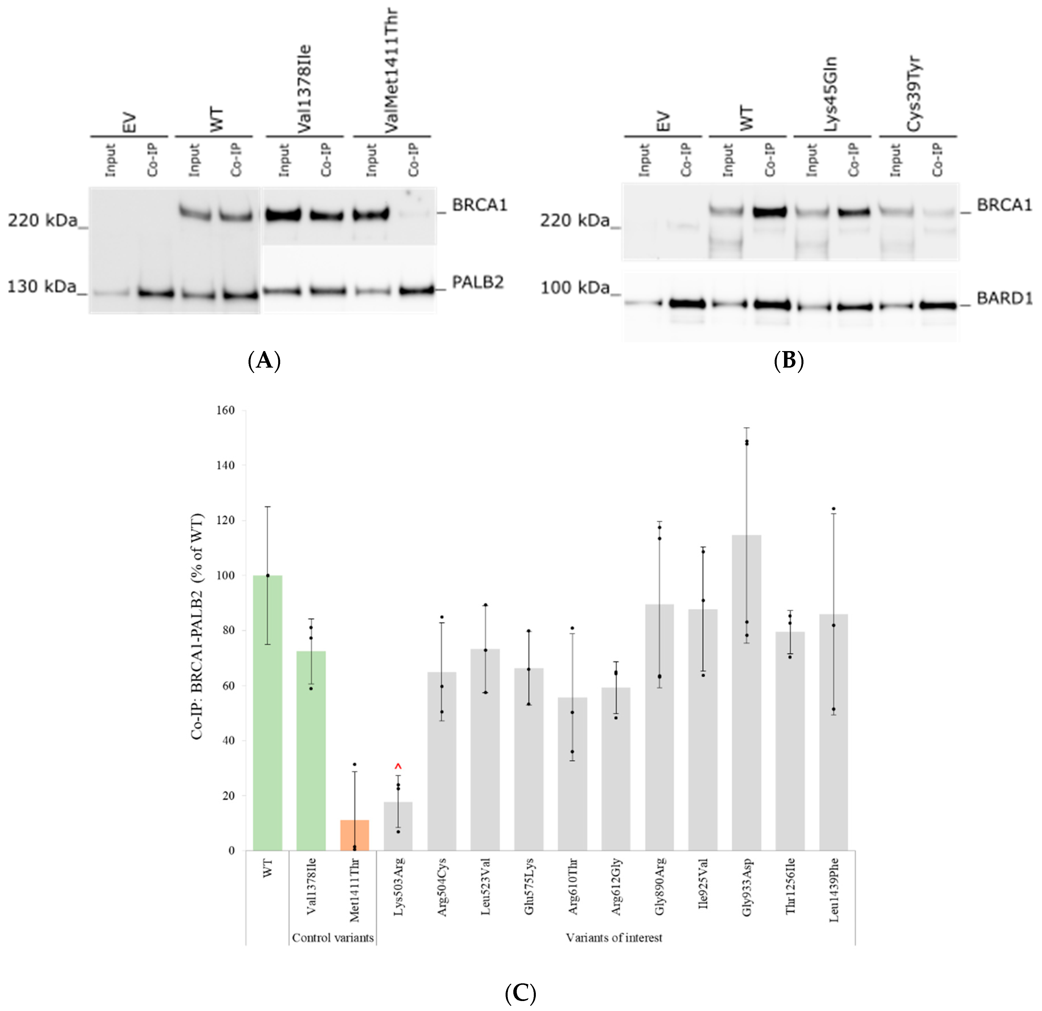 Genes 14 00262 g006a Genes 14 00262 g006a
