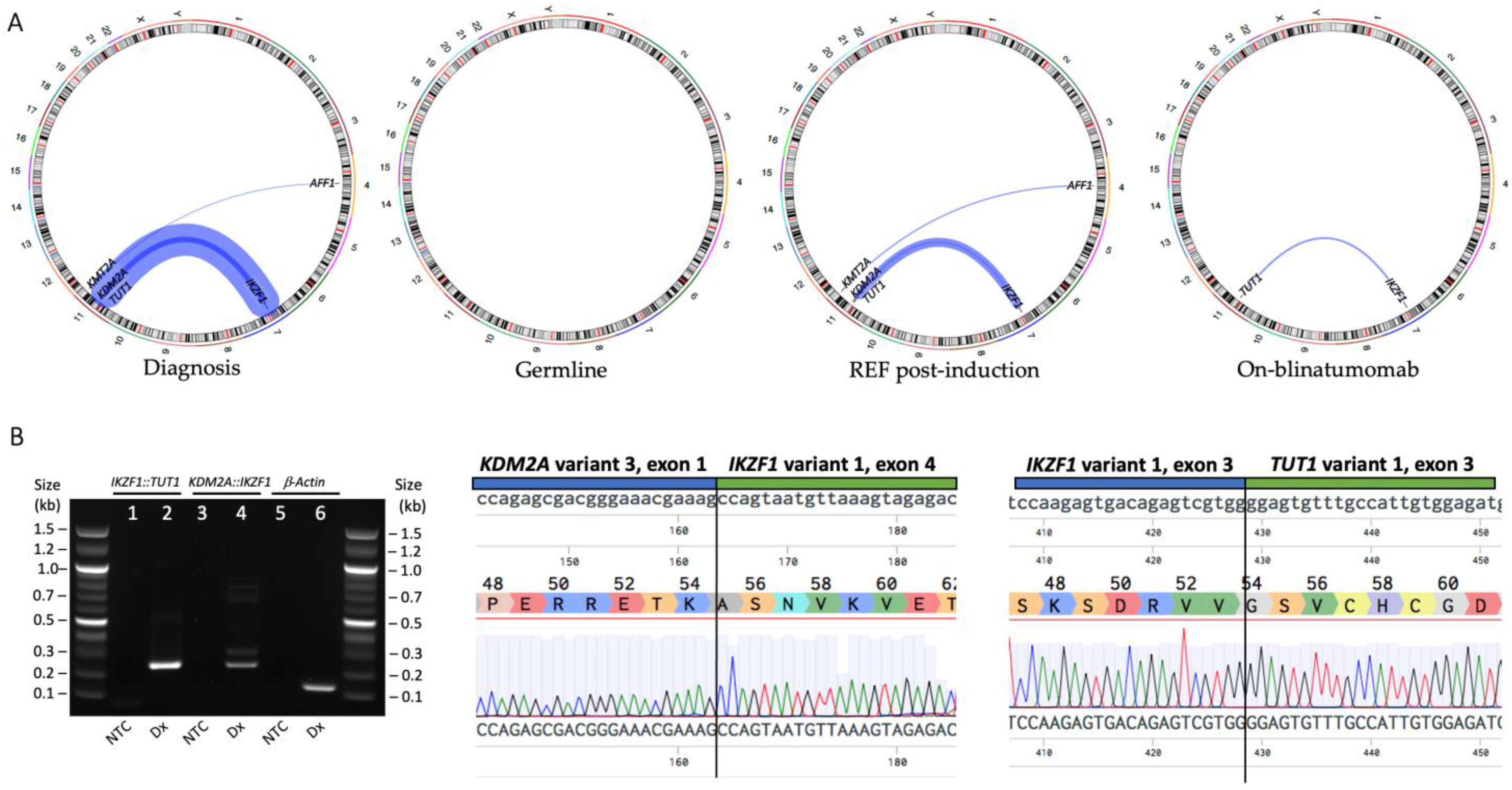 Genes 14 00264 g002 Genes 14 00264 g002