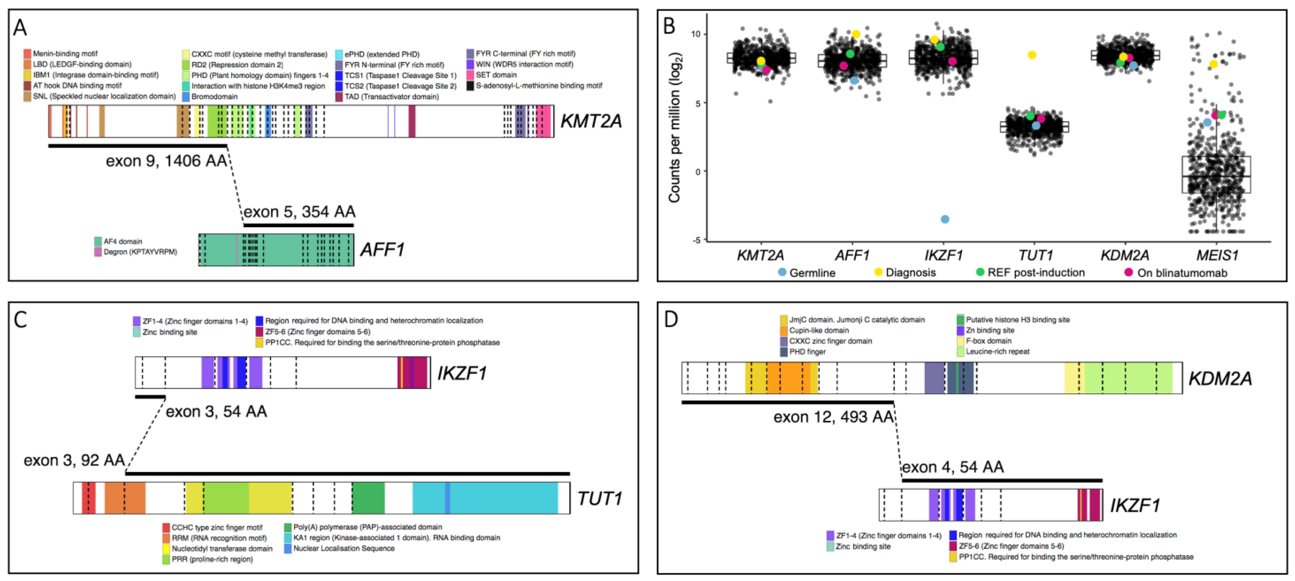 Genes 14 00264 g003 Genes 14 00264 g003