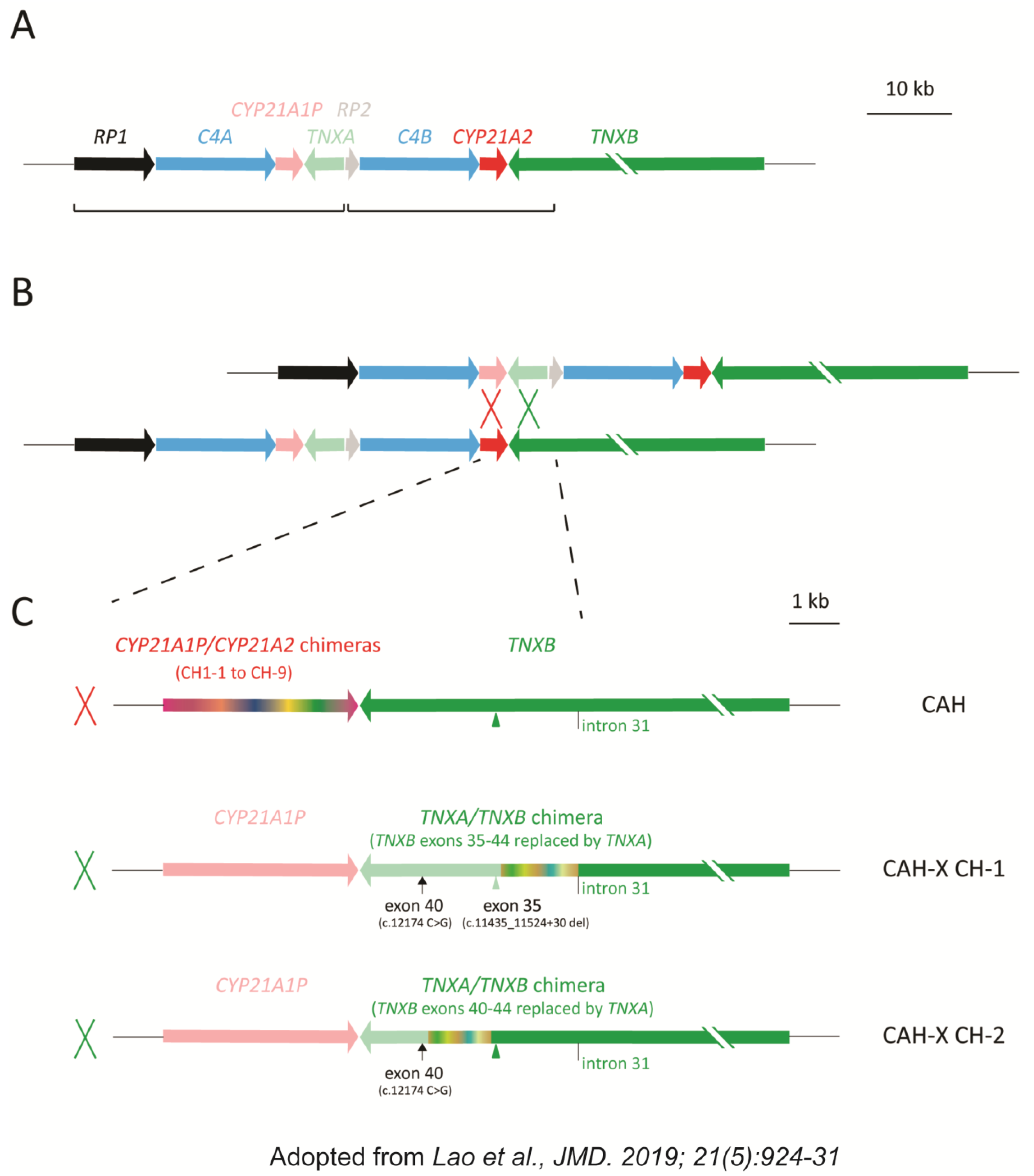 Genes 14 00265 g001 Genes 14 00265 g001