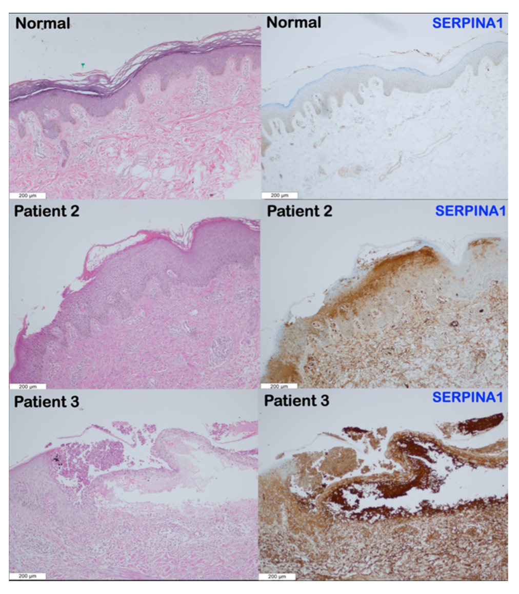 Genes 14 00266 g004 Genes 14 00266 g004