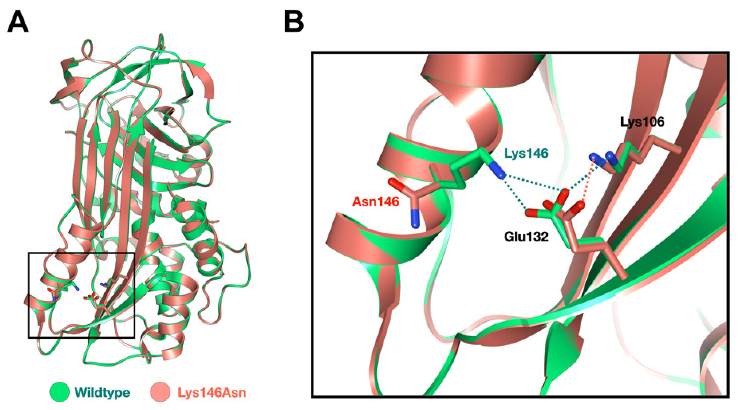Genes 14 00266 g005 Genes 14 00266 g005