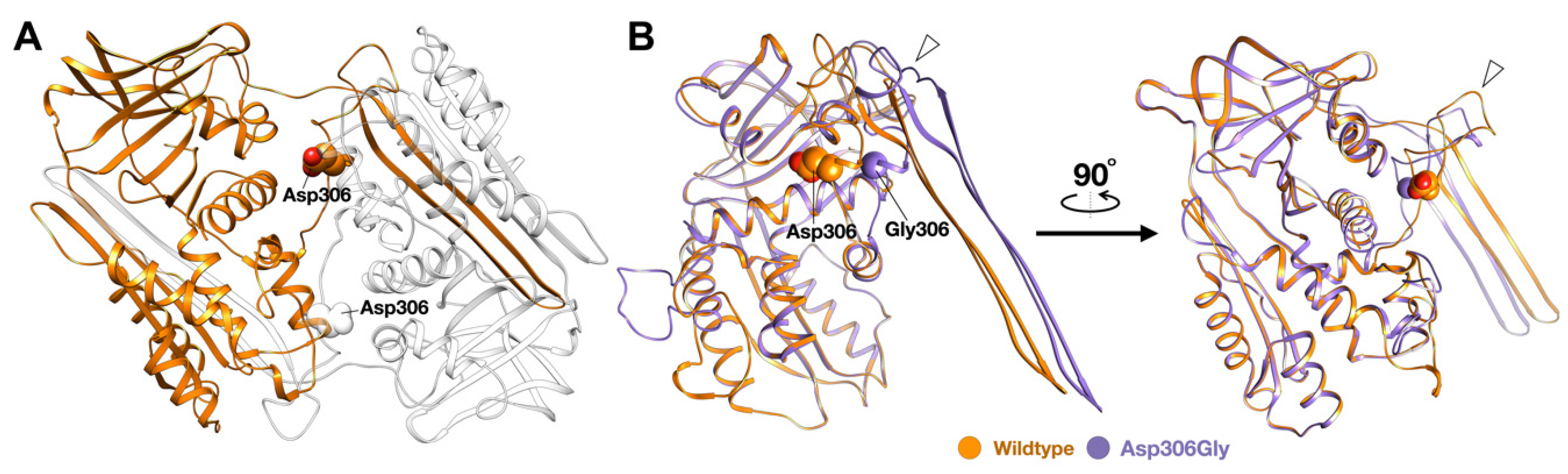 Genes 14 00266 g006 Genes 14 00266 g006