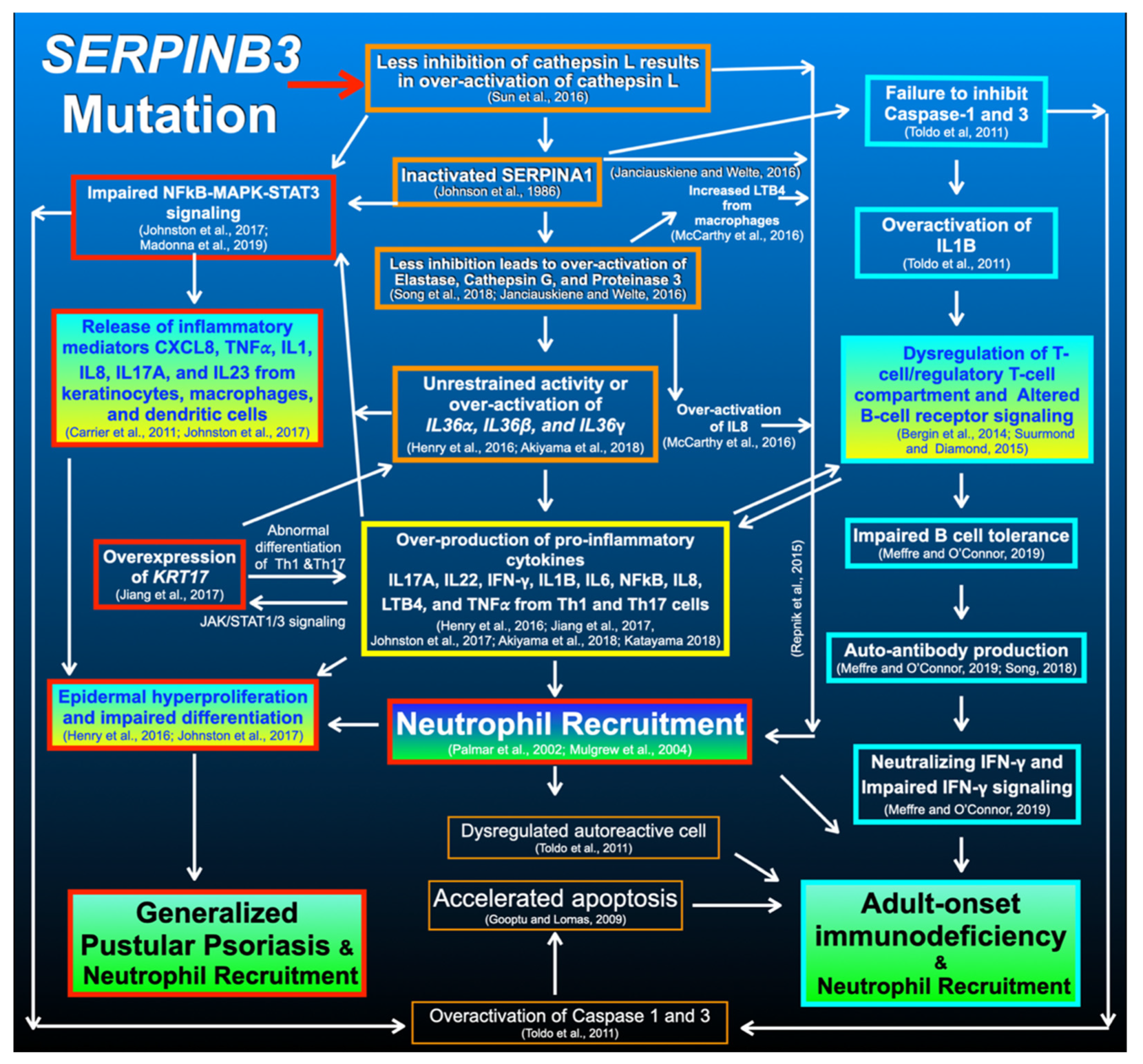Genes 14 00266 g007 Genes 14 00266 g007