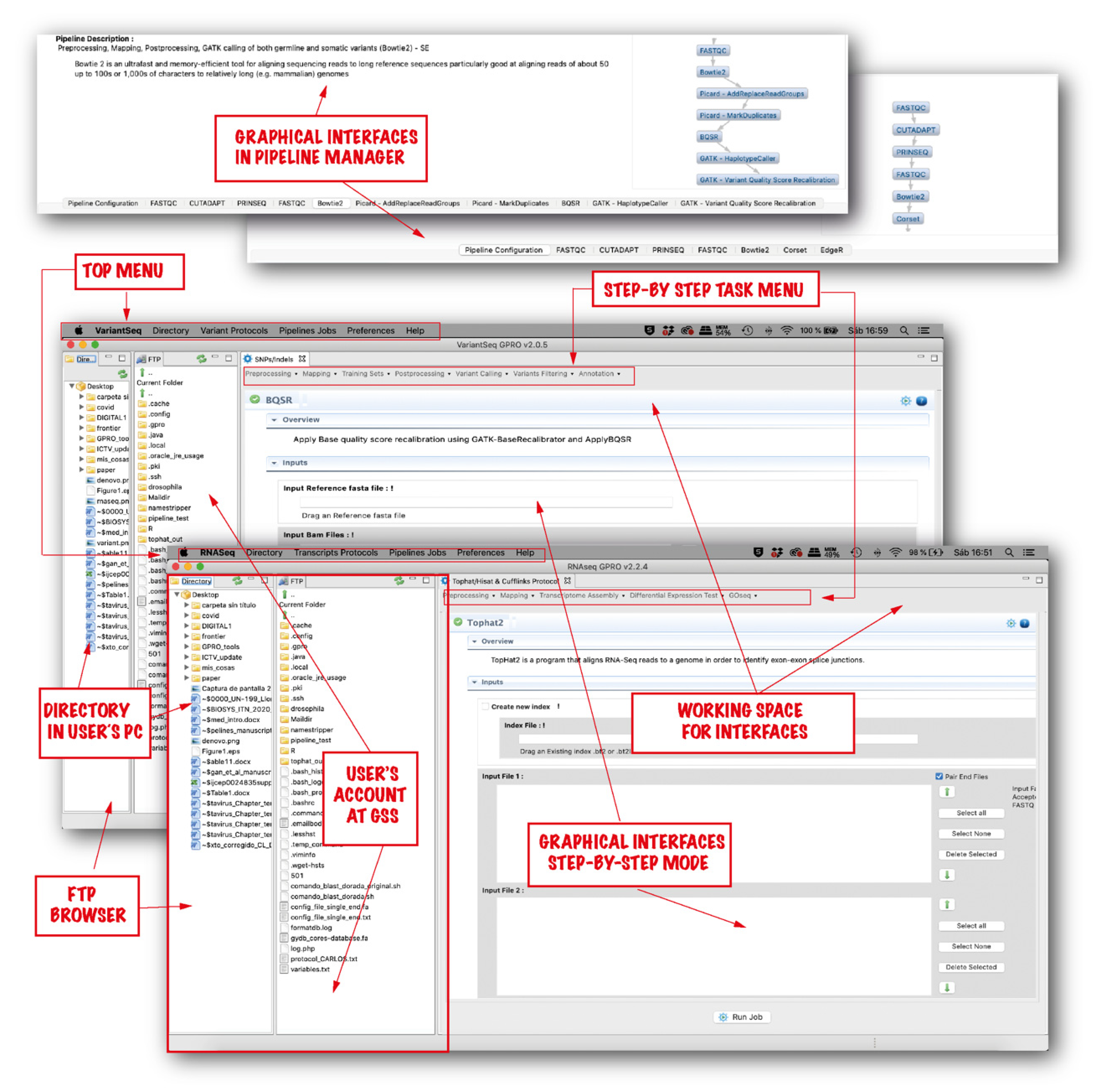 Genes 14 00267 g002 Genes 14 00267 g002