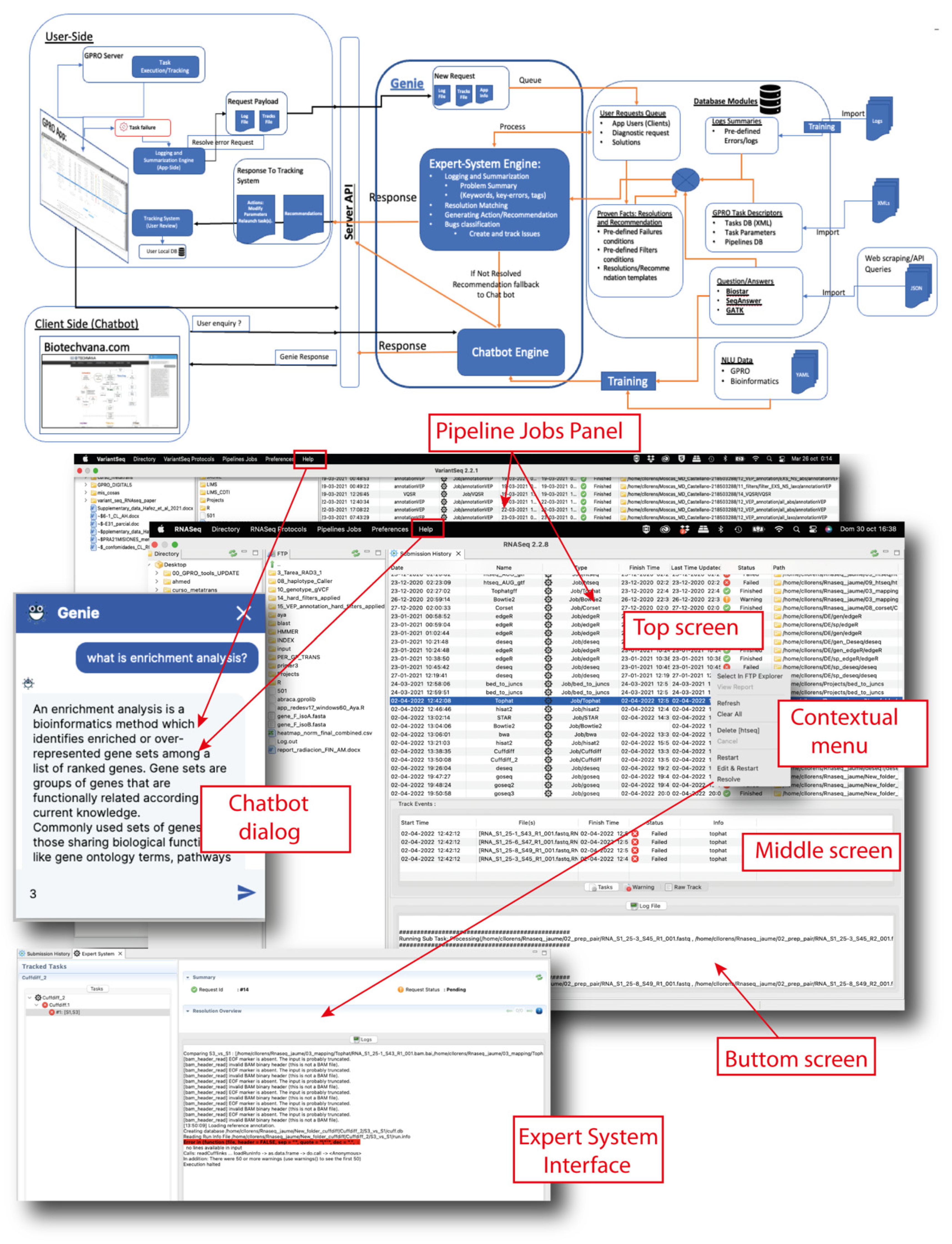 Genes 14 00267 g005 Genes 14 00267 g005