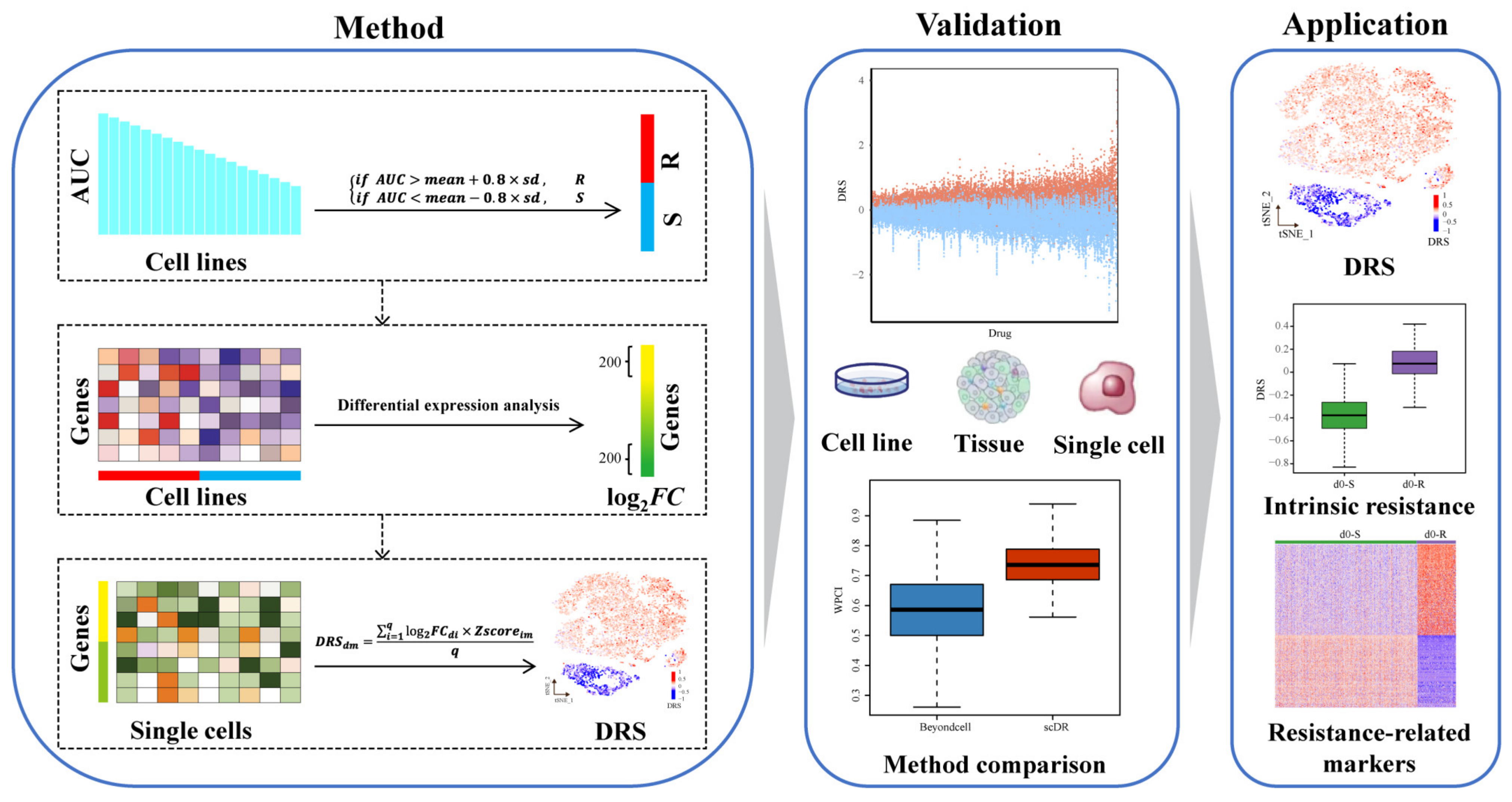 Genes 14 00268 g001 Genes 14 00268 g001