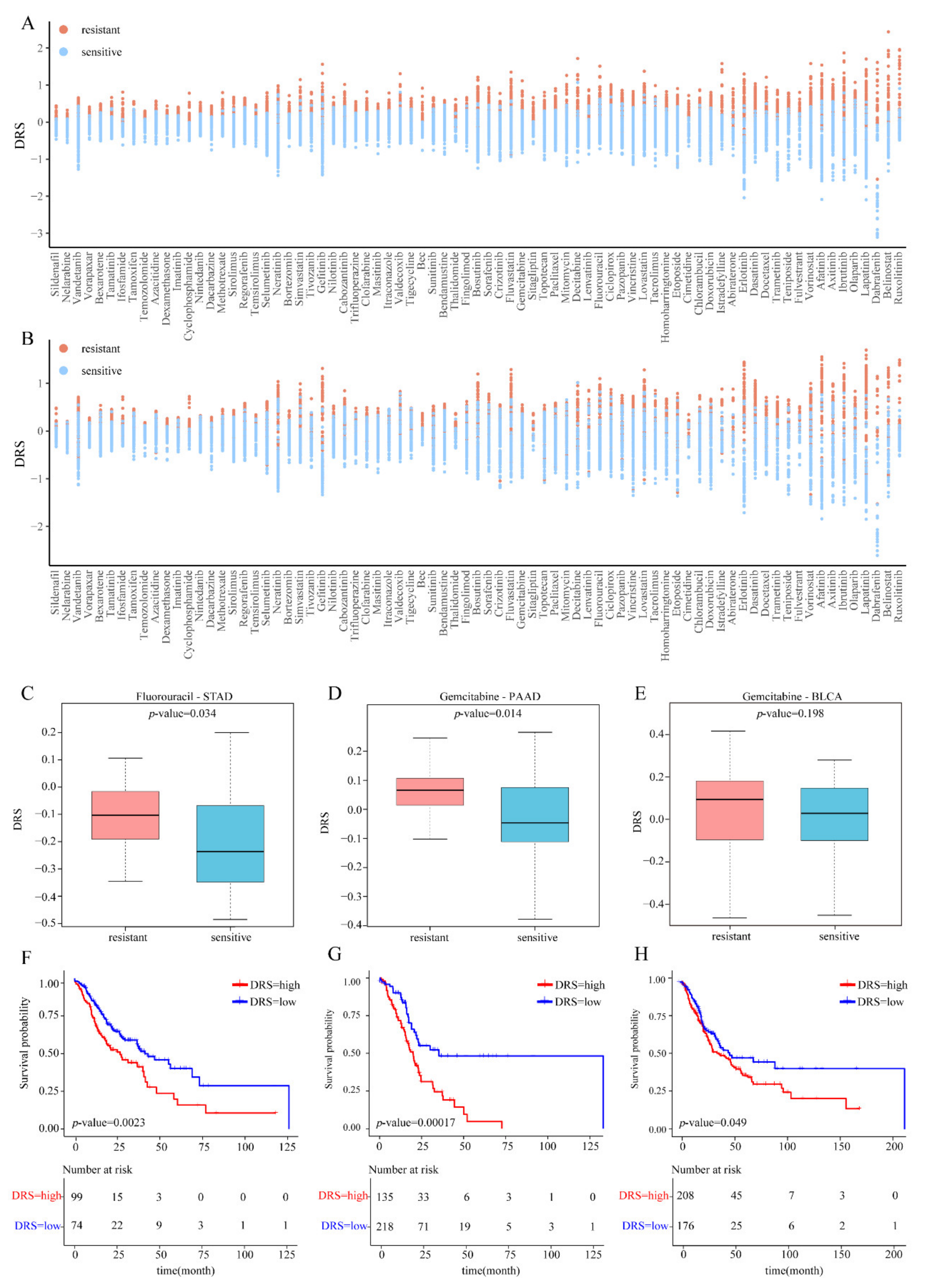 Genes 14 00268 g002 Genes 14 00268 g002