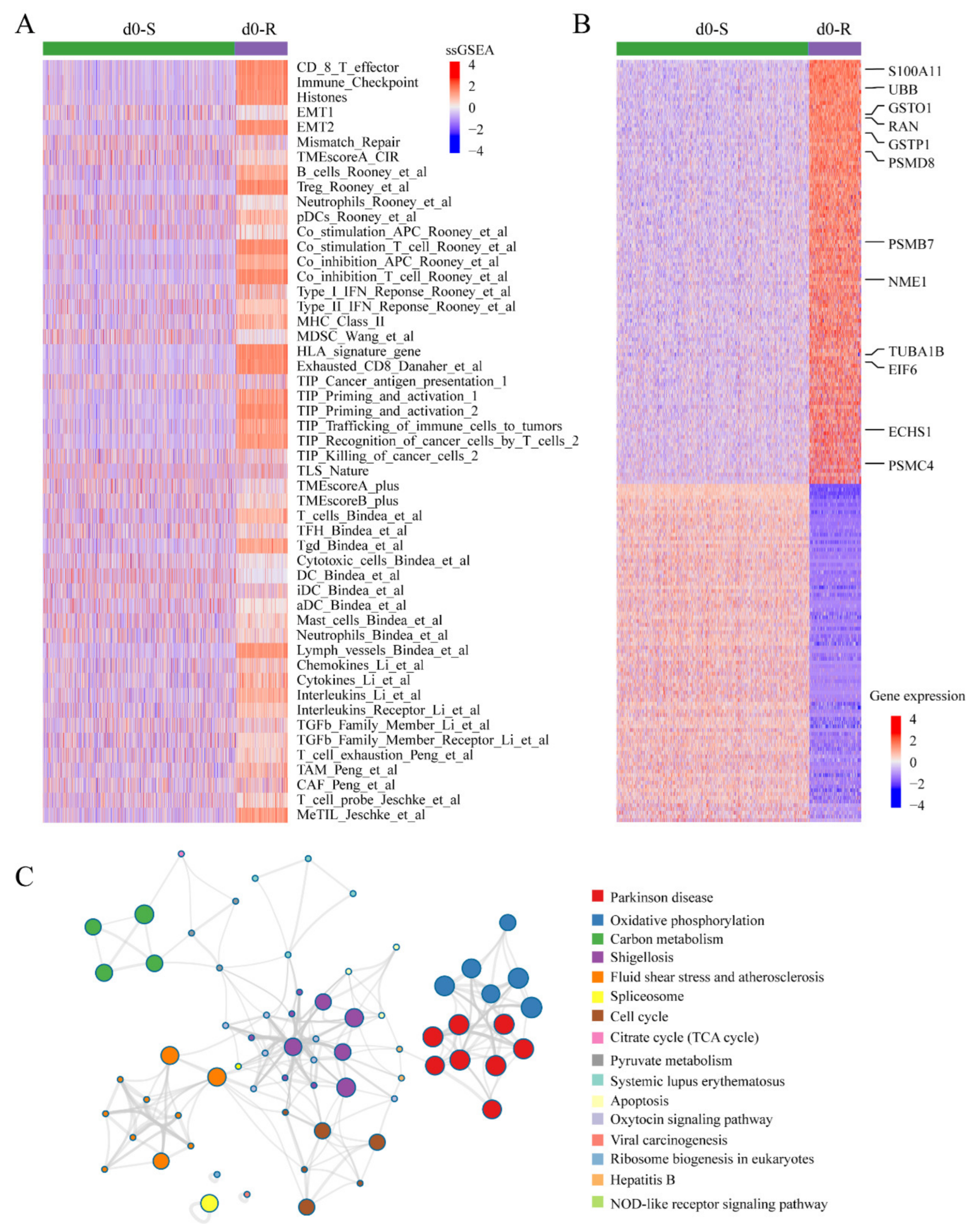 Genes 14 00268 g005 Genes 14 00268 g005