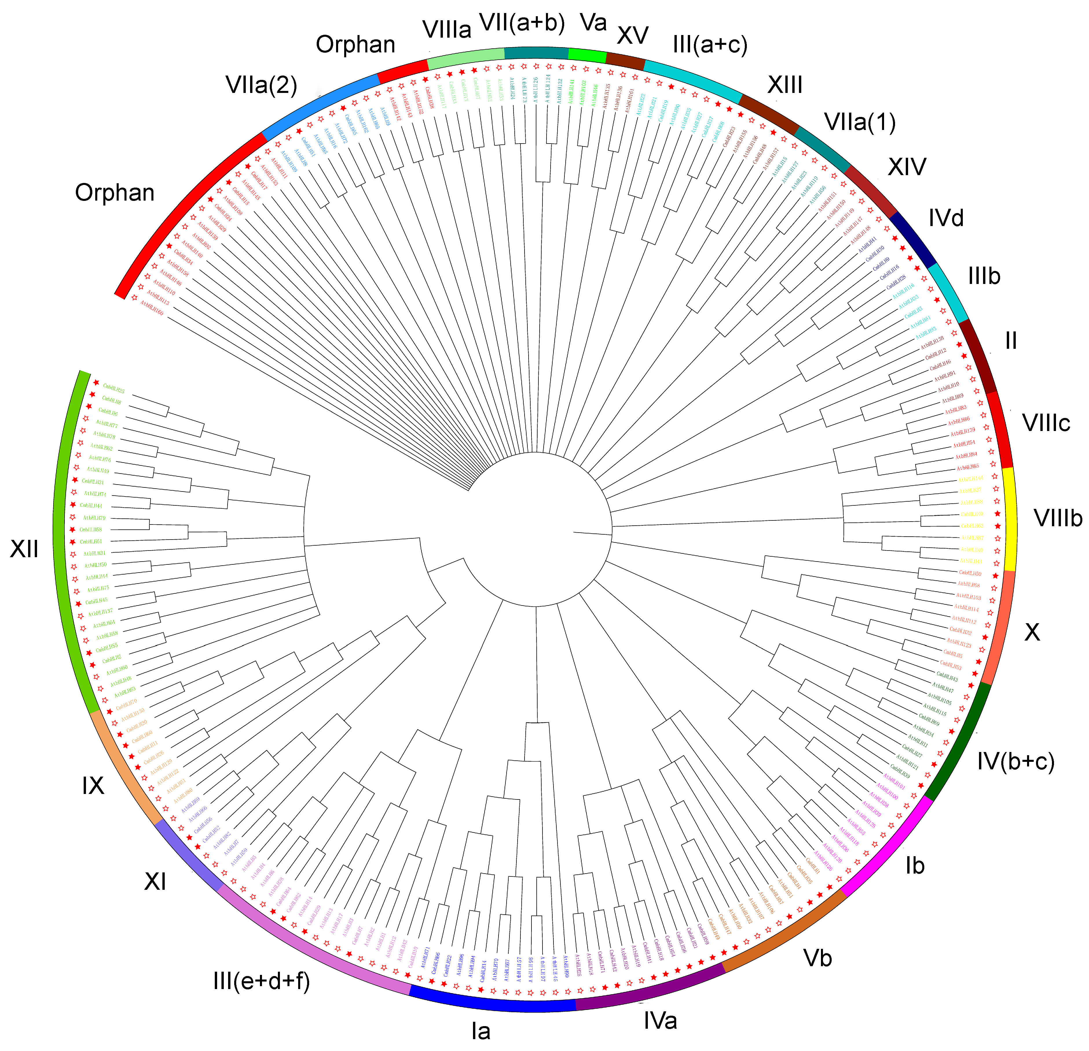 Identification of CmbHLH Transcription Factor Family and Identification of CmbHLH Transcription Factor Family and