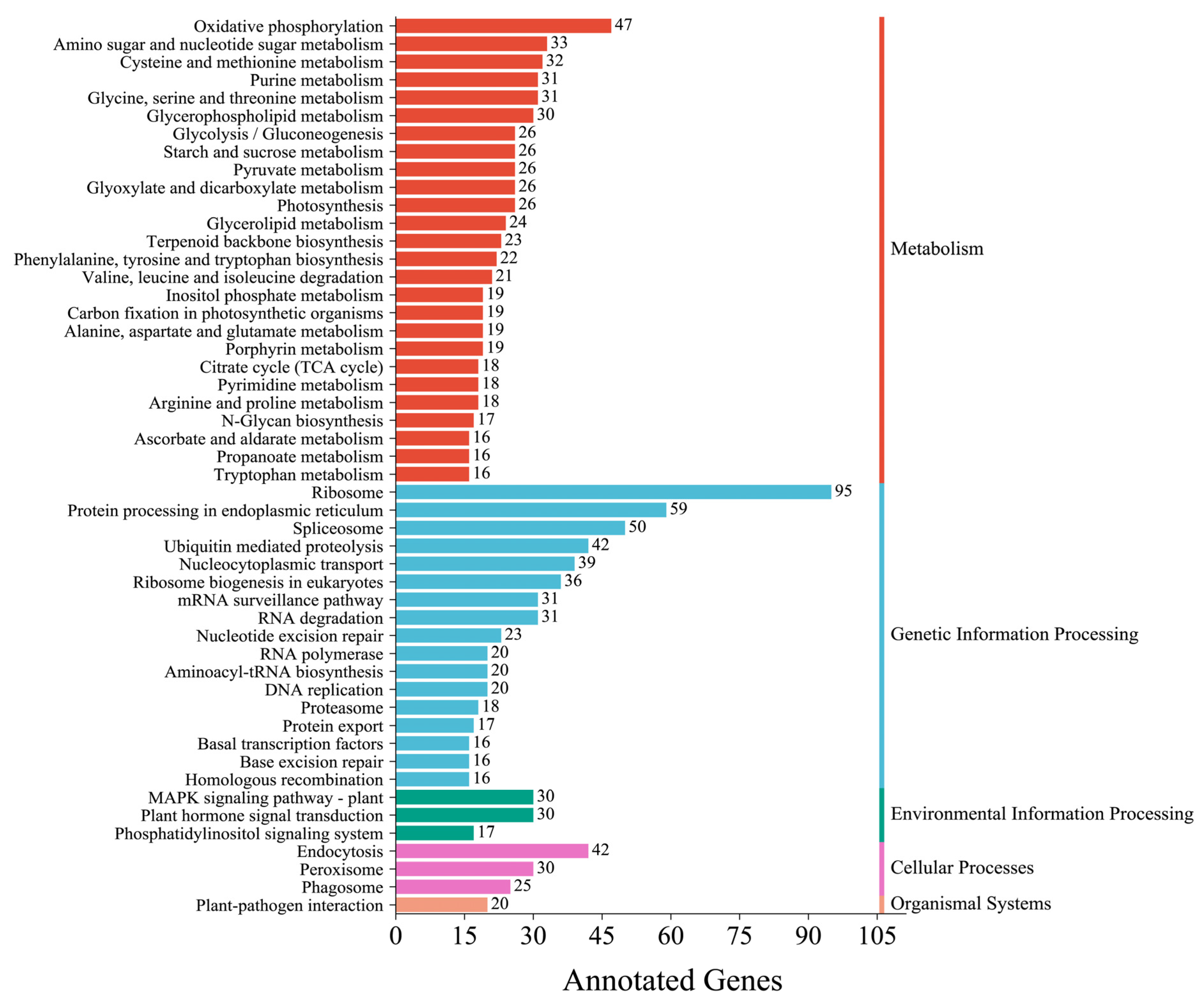 Genes 14 00279 g004 Genes 14 00279 g004