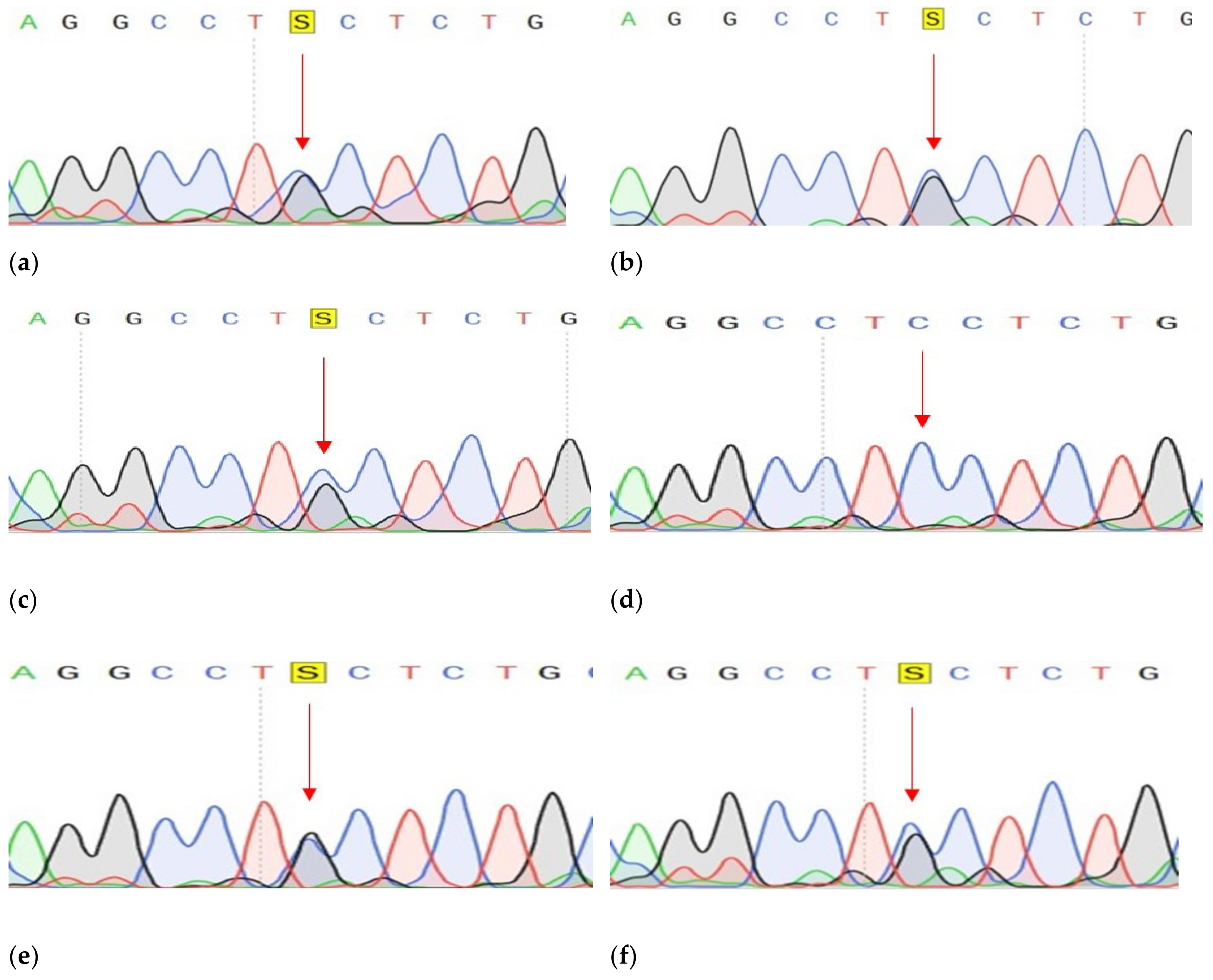 Genes 14 00280 g009