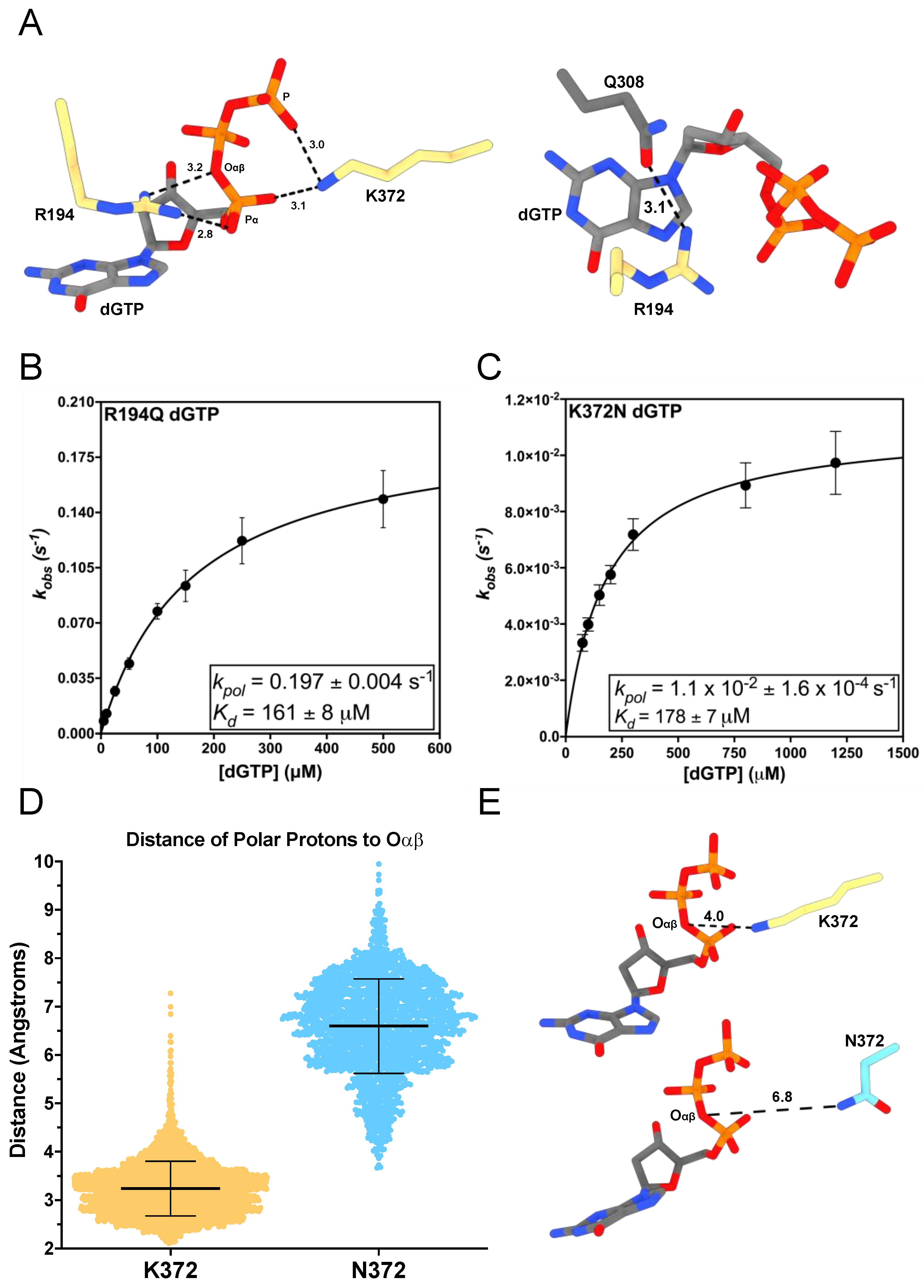 Genes 14 00281 g002 Genes 14 00281 g002