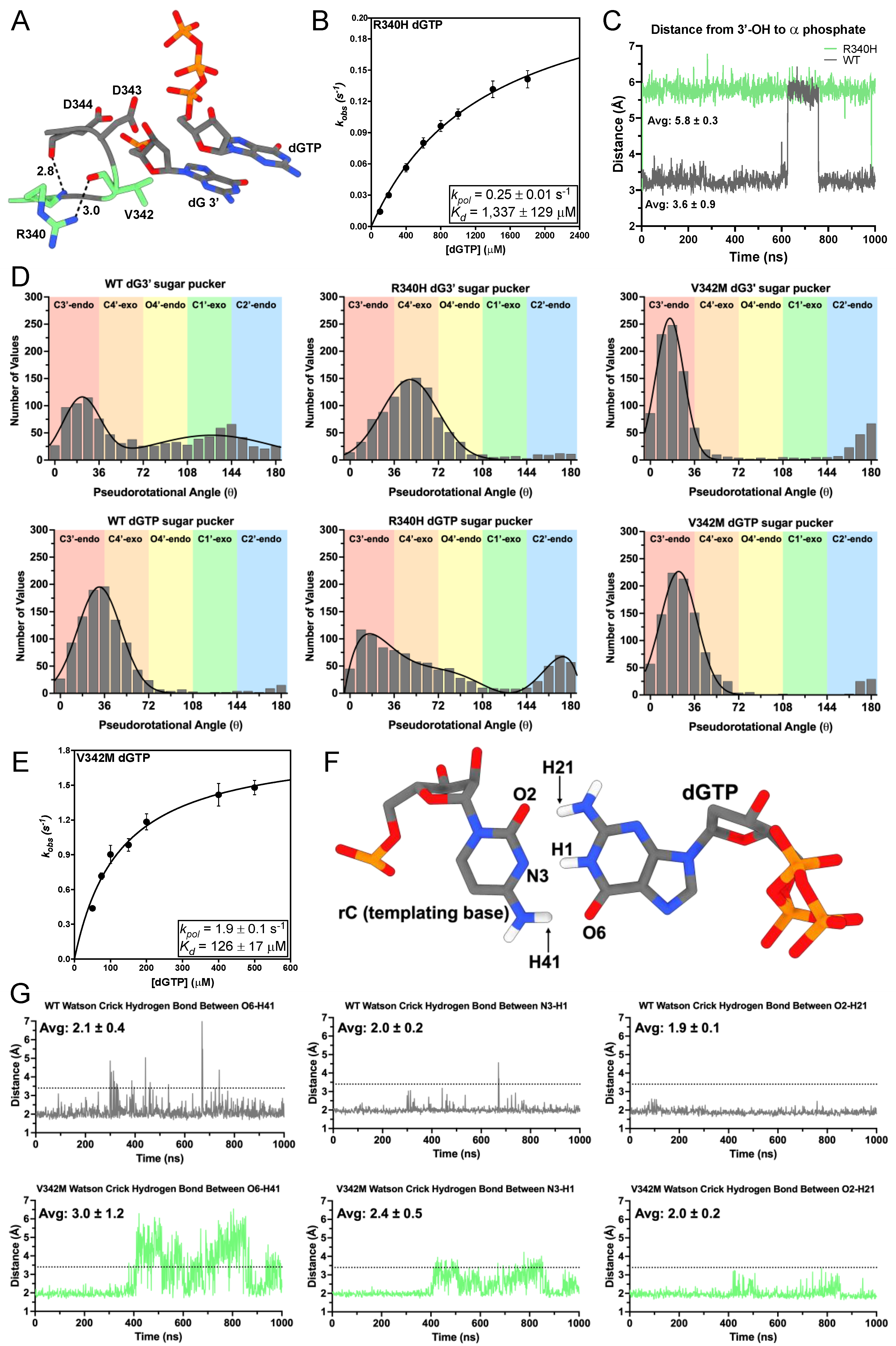 Genes 14 00281 g003 Genes 14 00281 g003