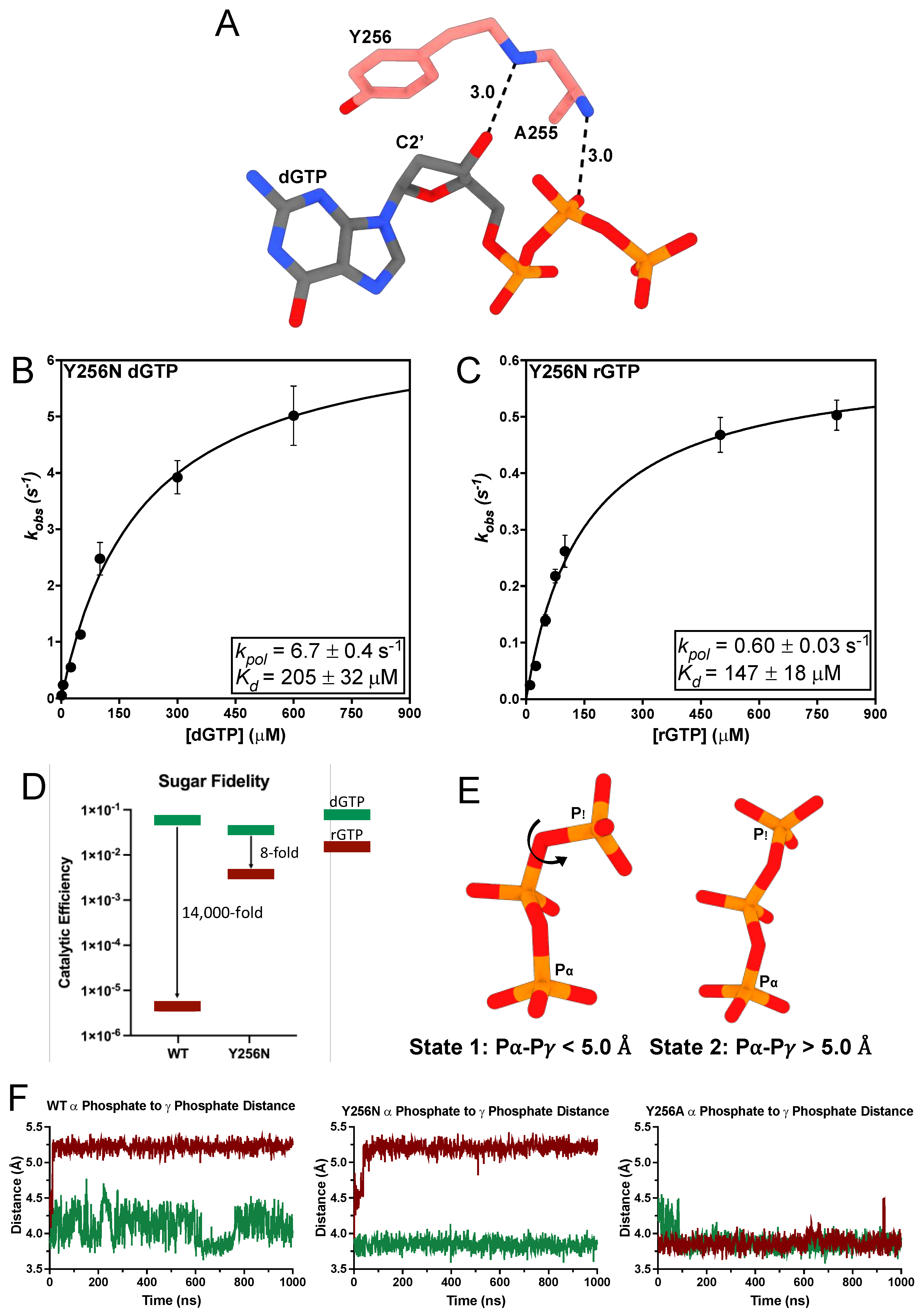 Genes 14 00281 g004 Genes 14 00281 g004