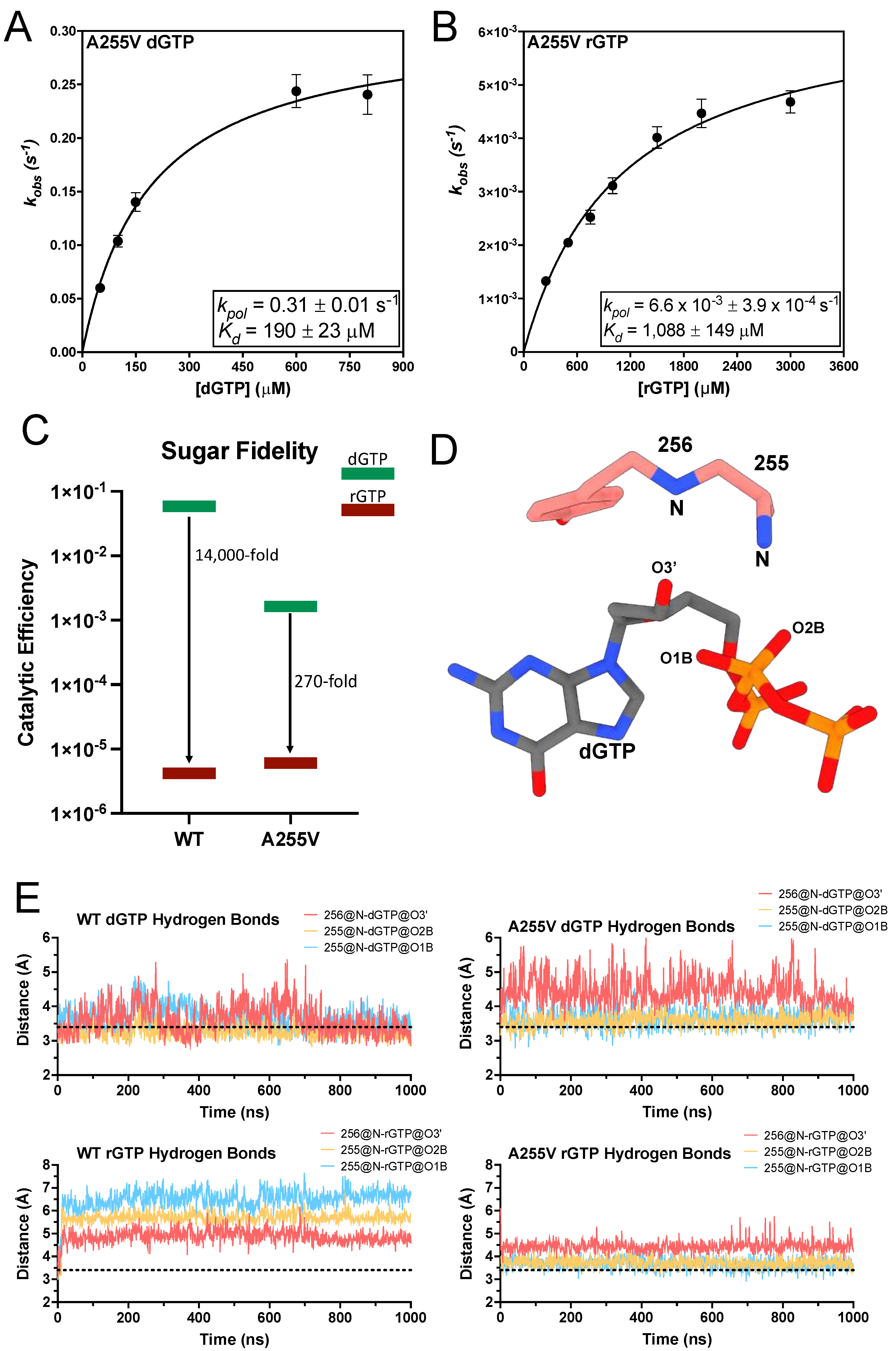 Genes 14 00281 g005 Genes 14 00281 g005