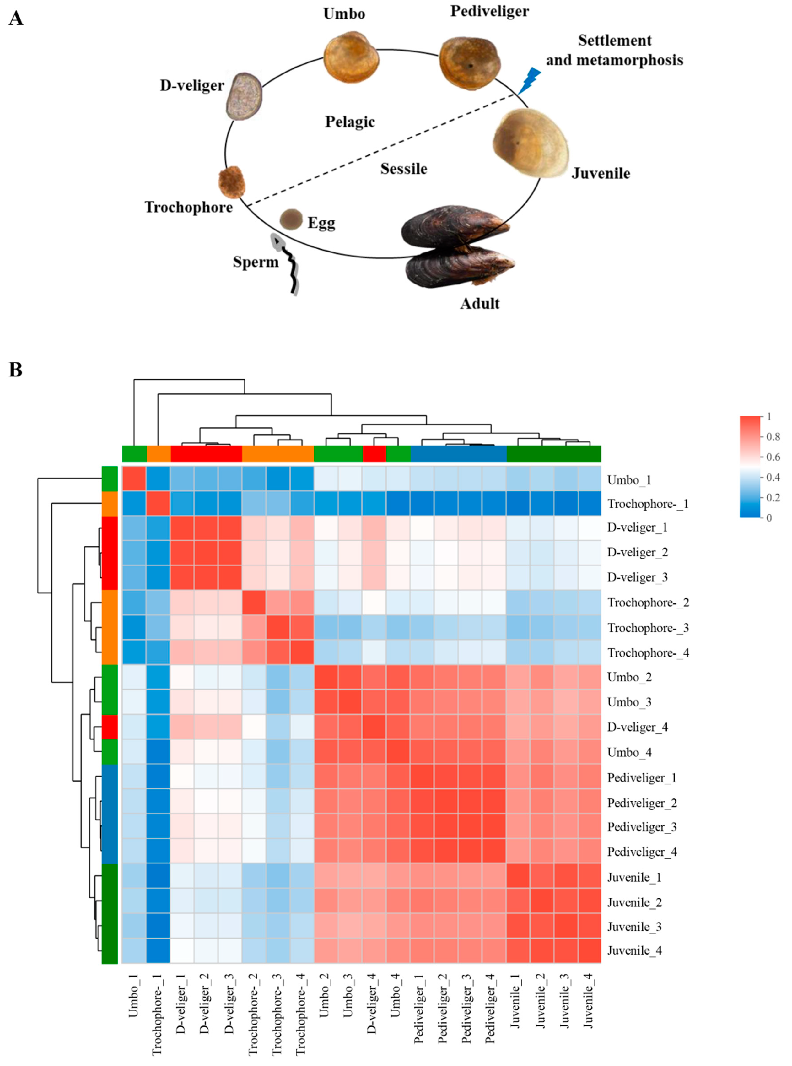 Genes 14 00287 g002