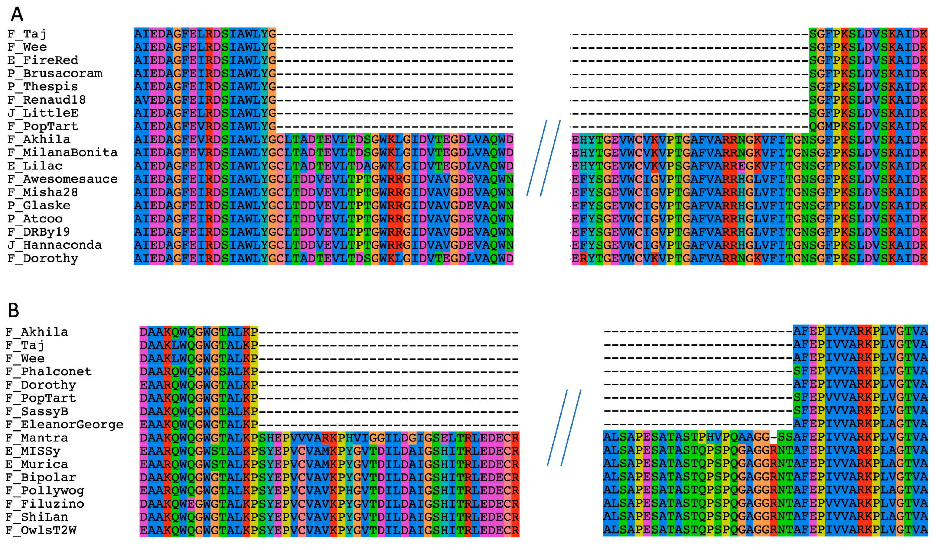 Genes 14 00288 g002 Genes 14 00288 g002