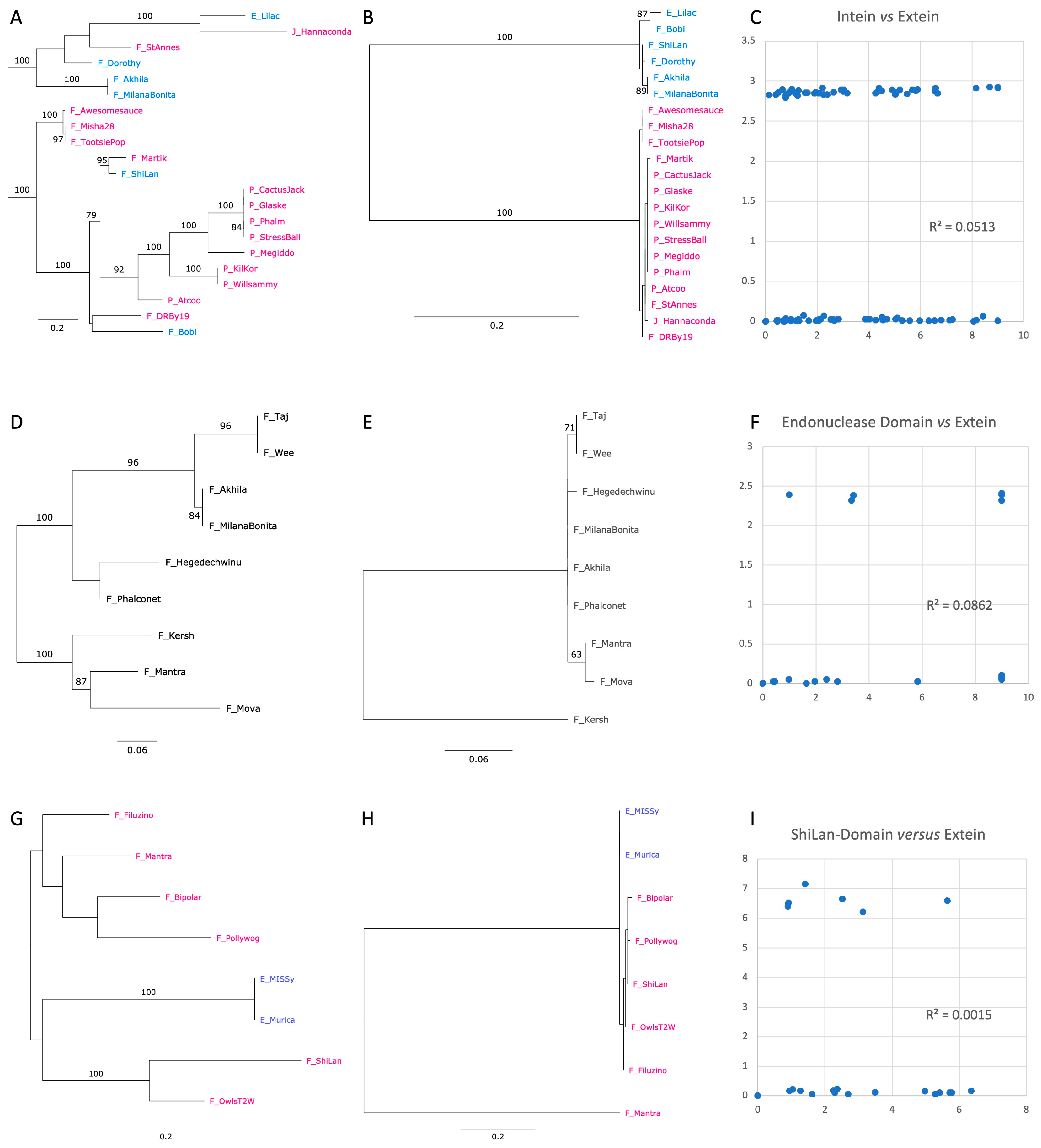 Genes 14 00288 g006 Genes 14 00288 g006