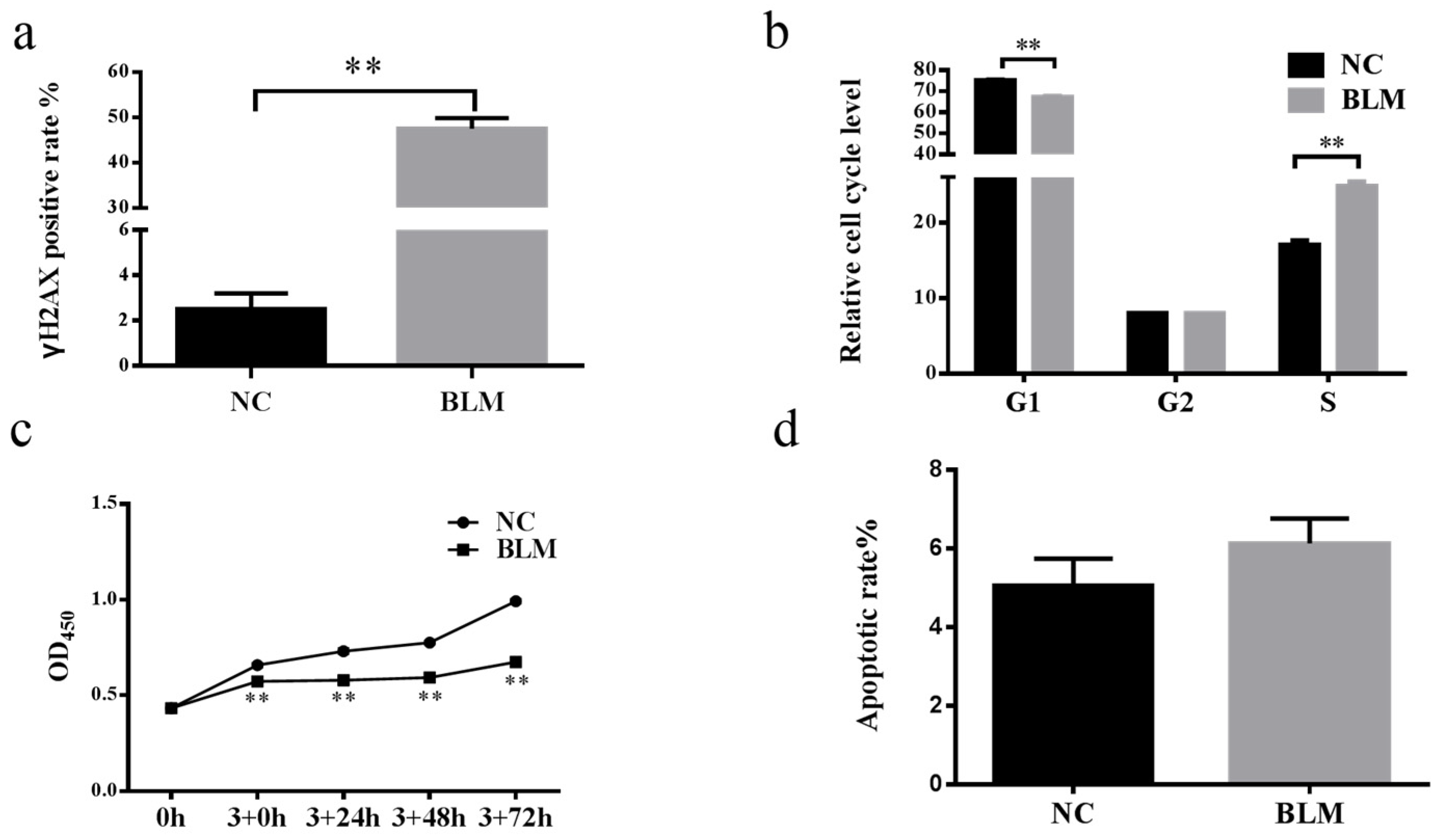 Genes 14 00290 g001 Genes 14 00290 g001