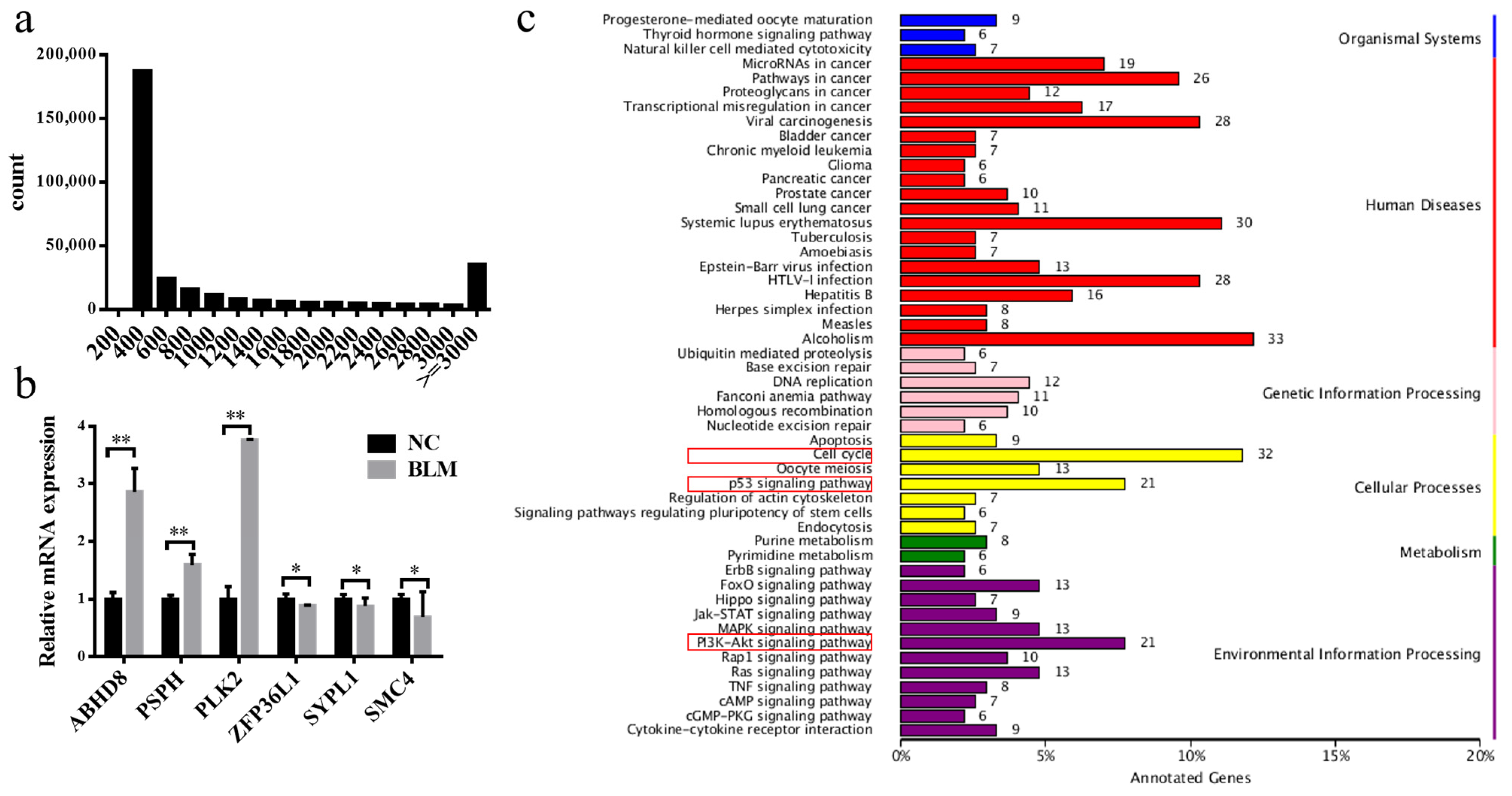 Genes 14 00290 g002 Genes 14 00290 g002
