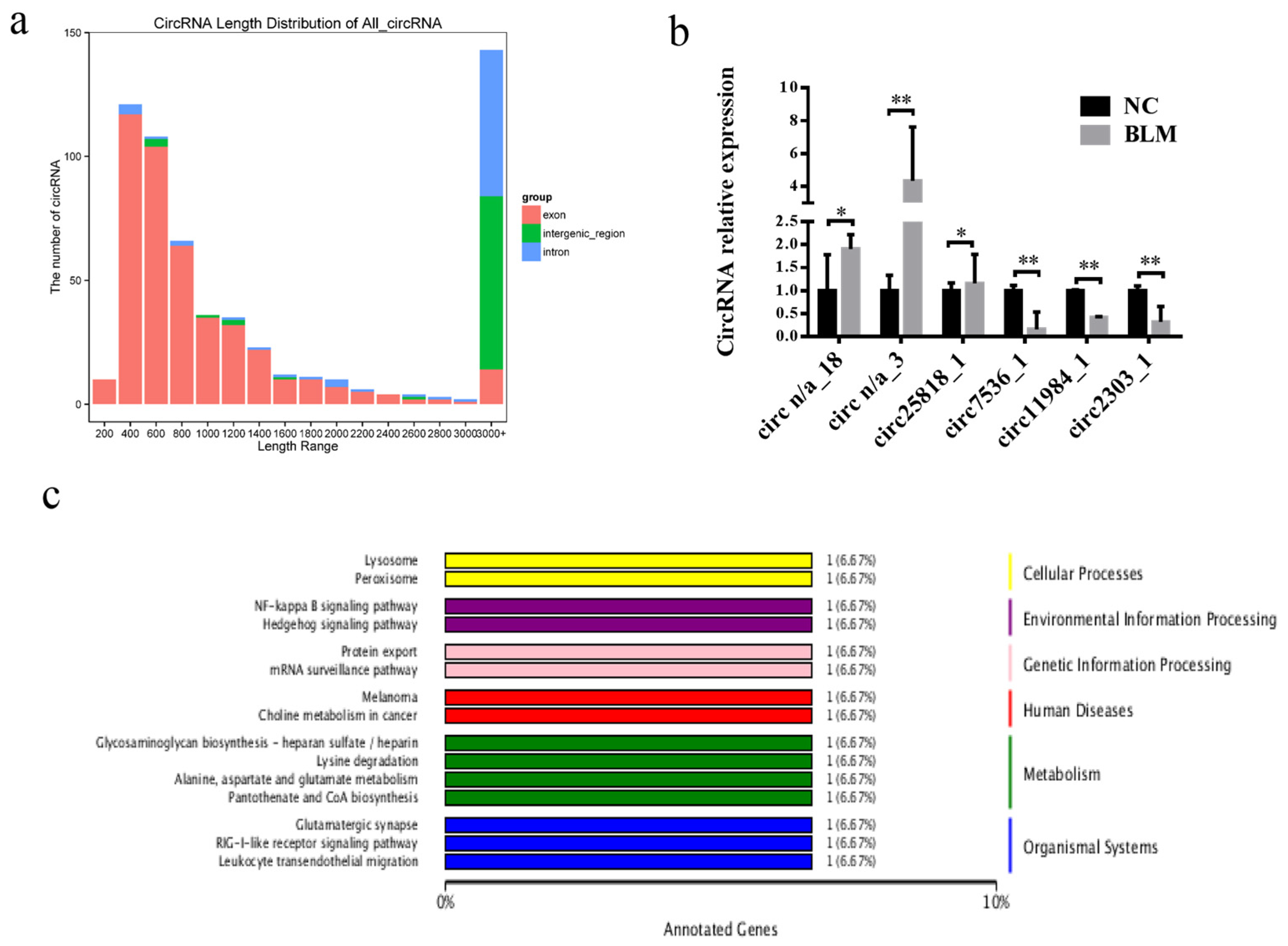Genes 14 00290 g005 Genes 14 00290 g005