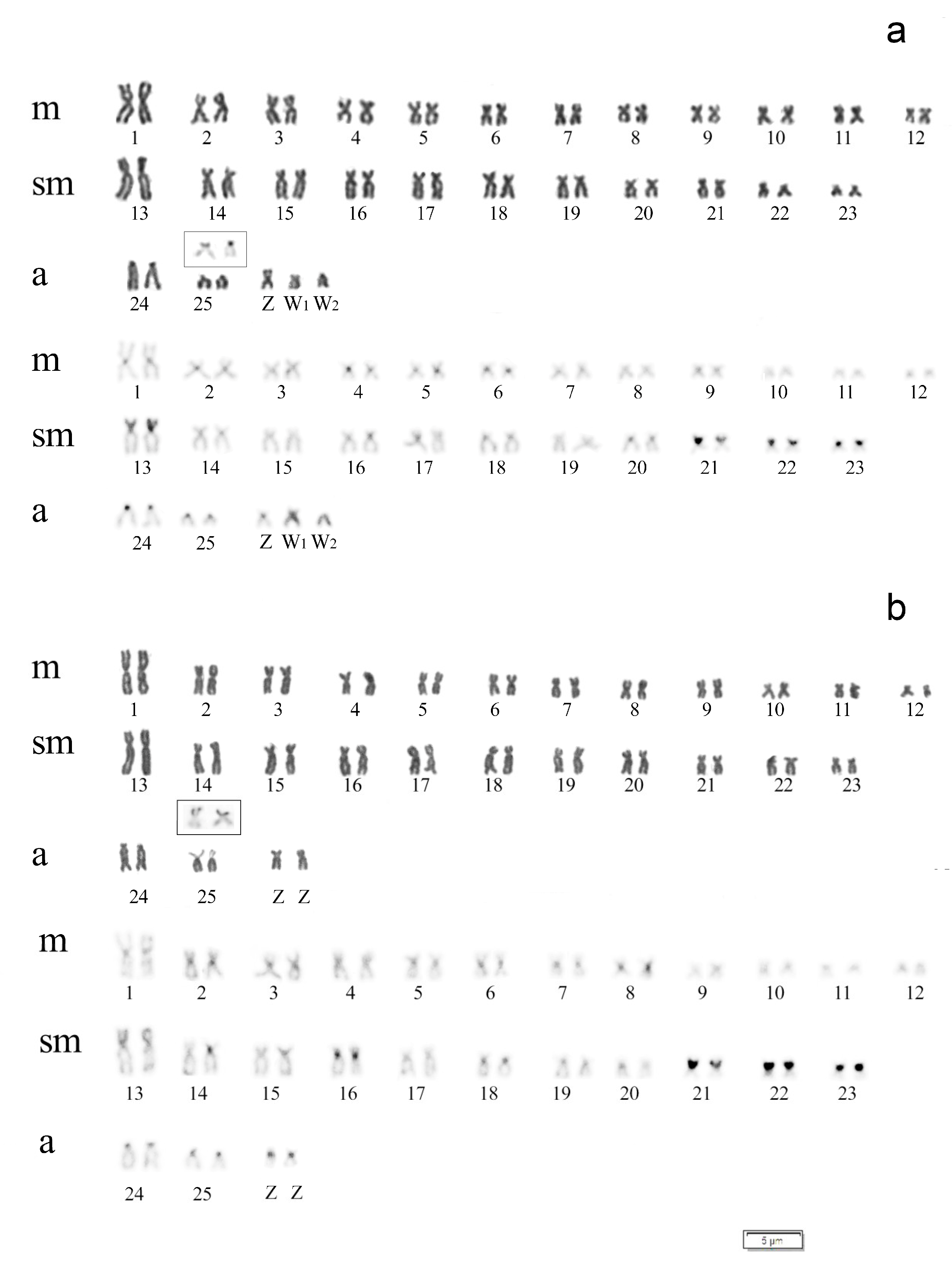 Genes 14 00306 g002 Genes 14 00306 g002